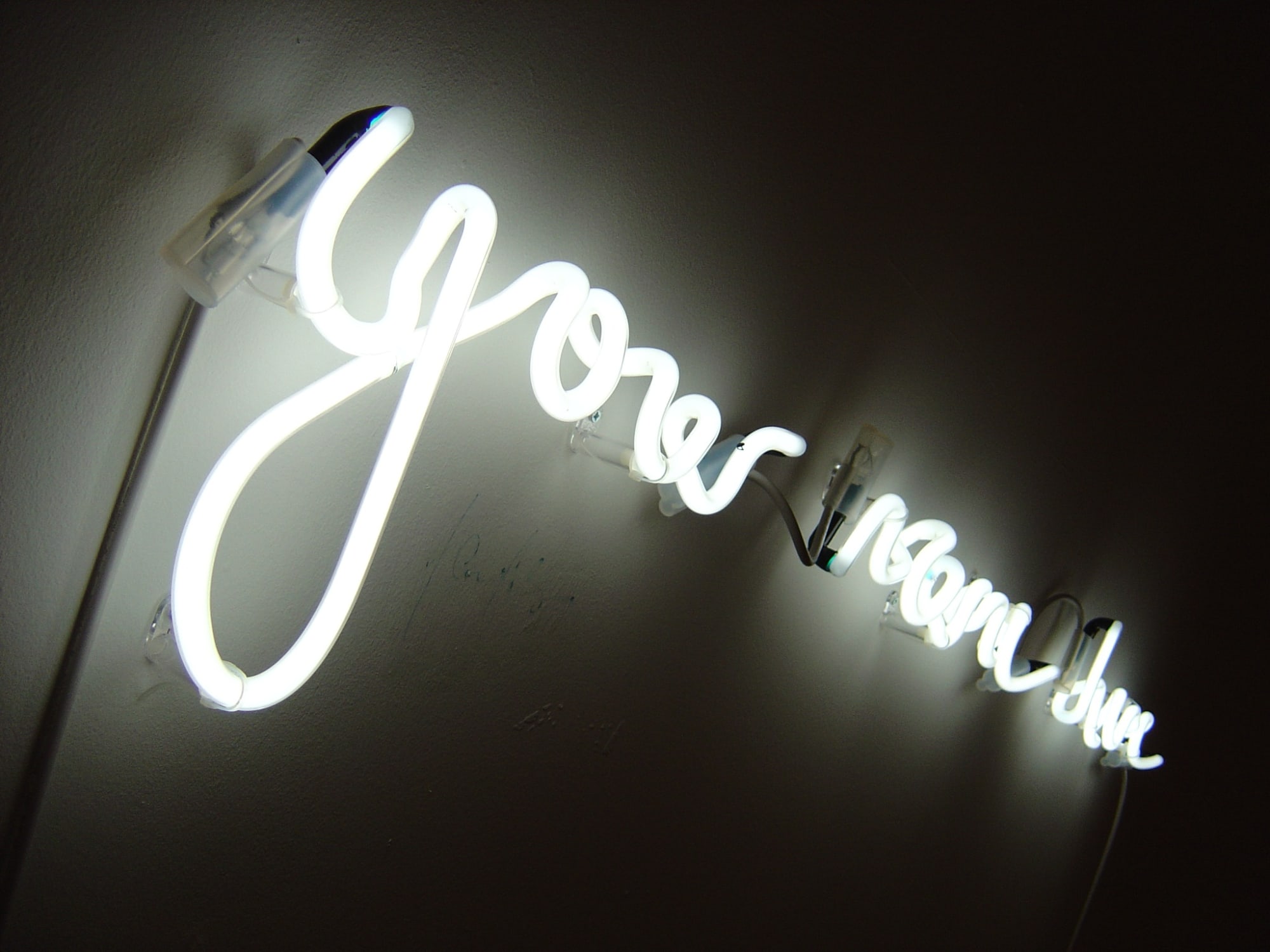 Alec Finlay, Your Name Here