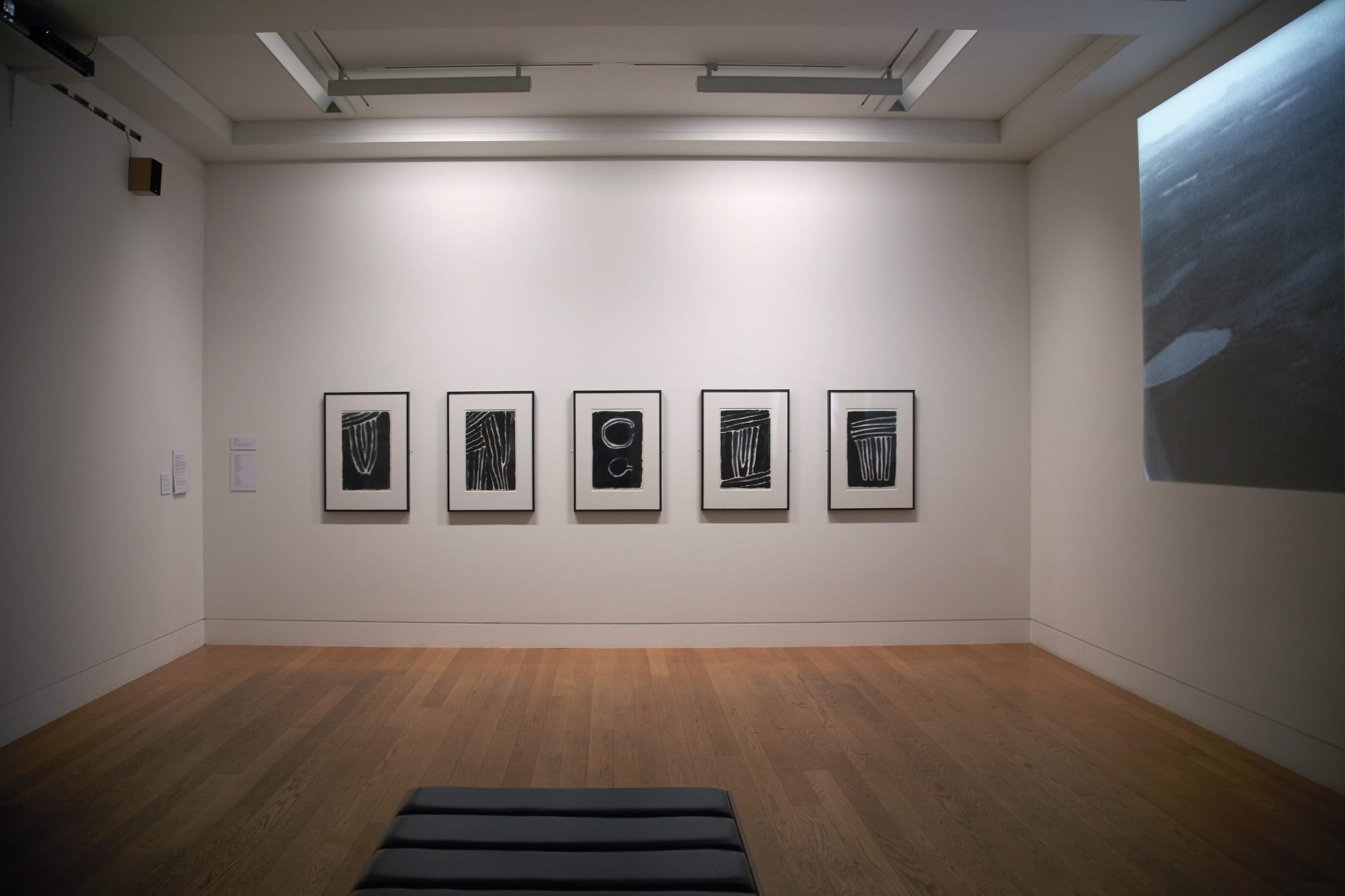 Kate Whiteford RSA installation. Photo Chris Park