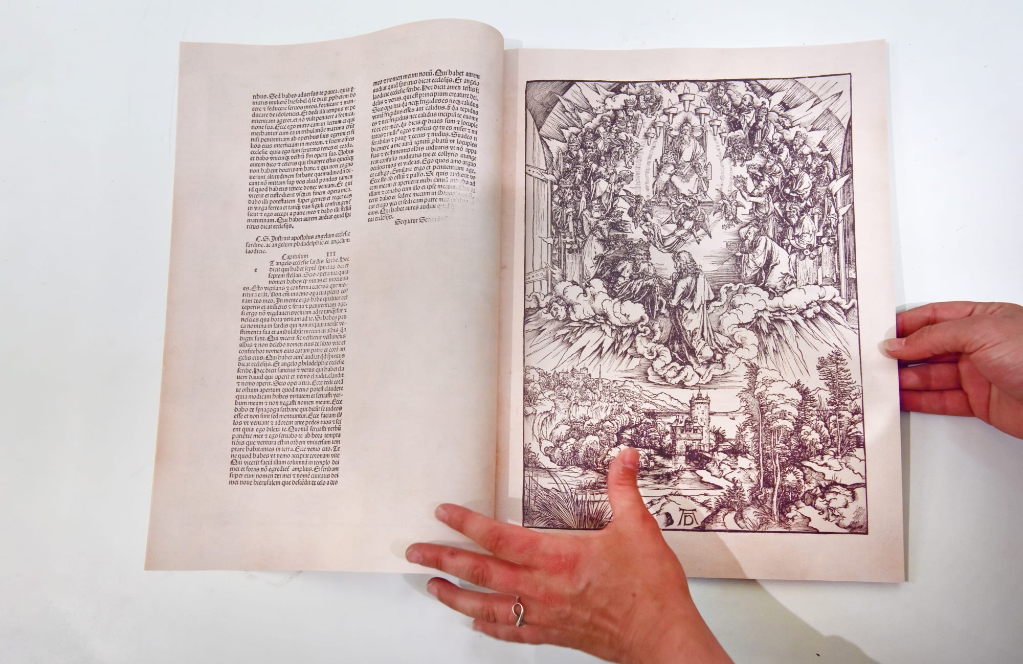 Image credits: Julie Howden