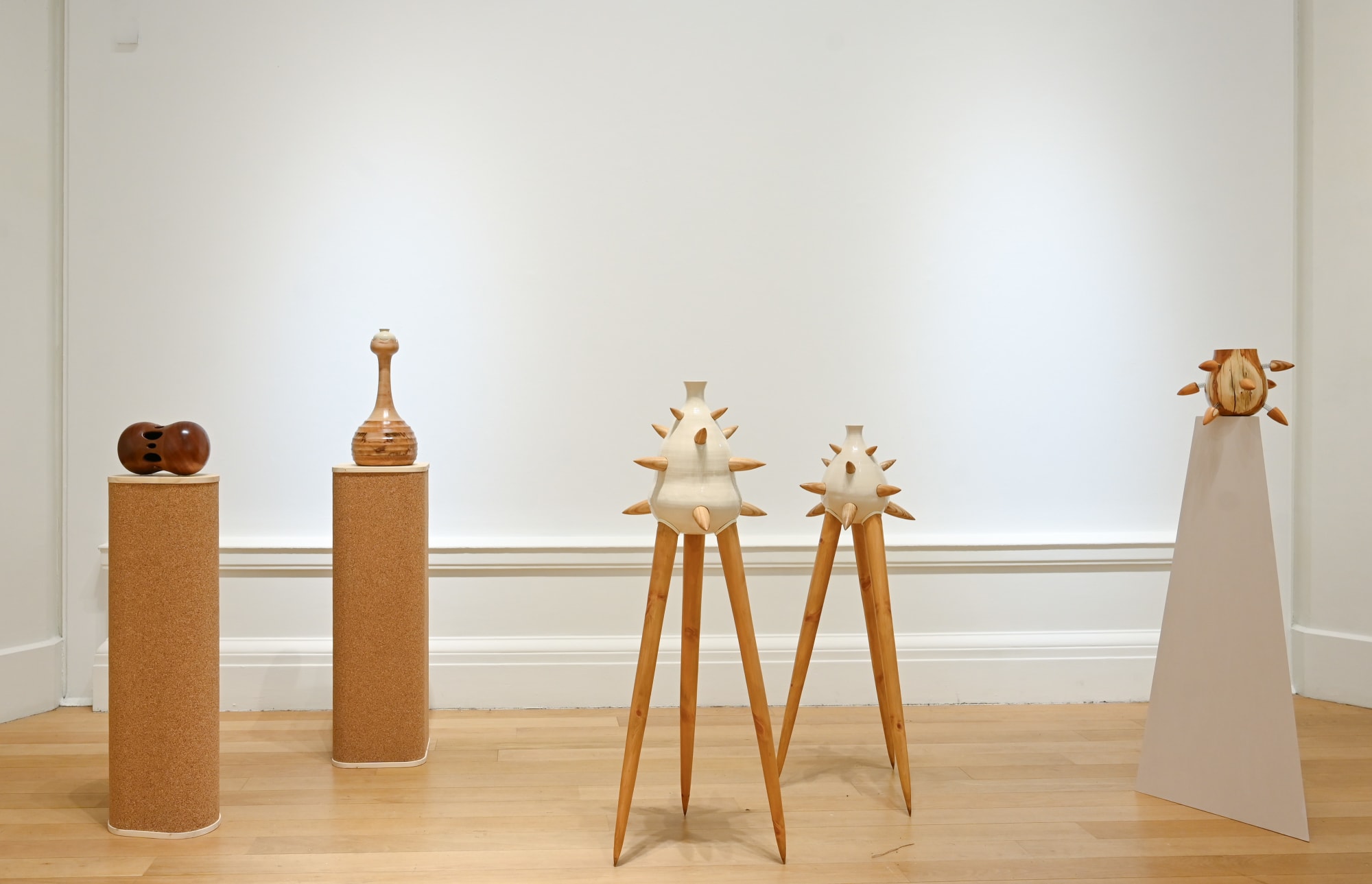 RSA New Contemporaries 2025