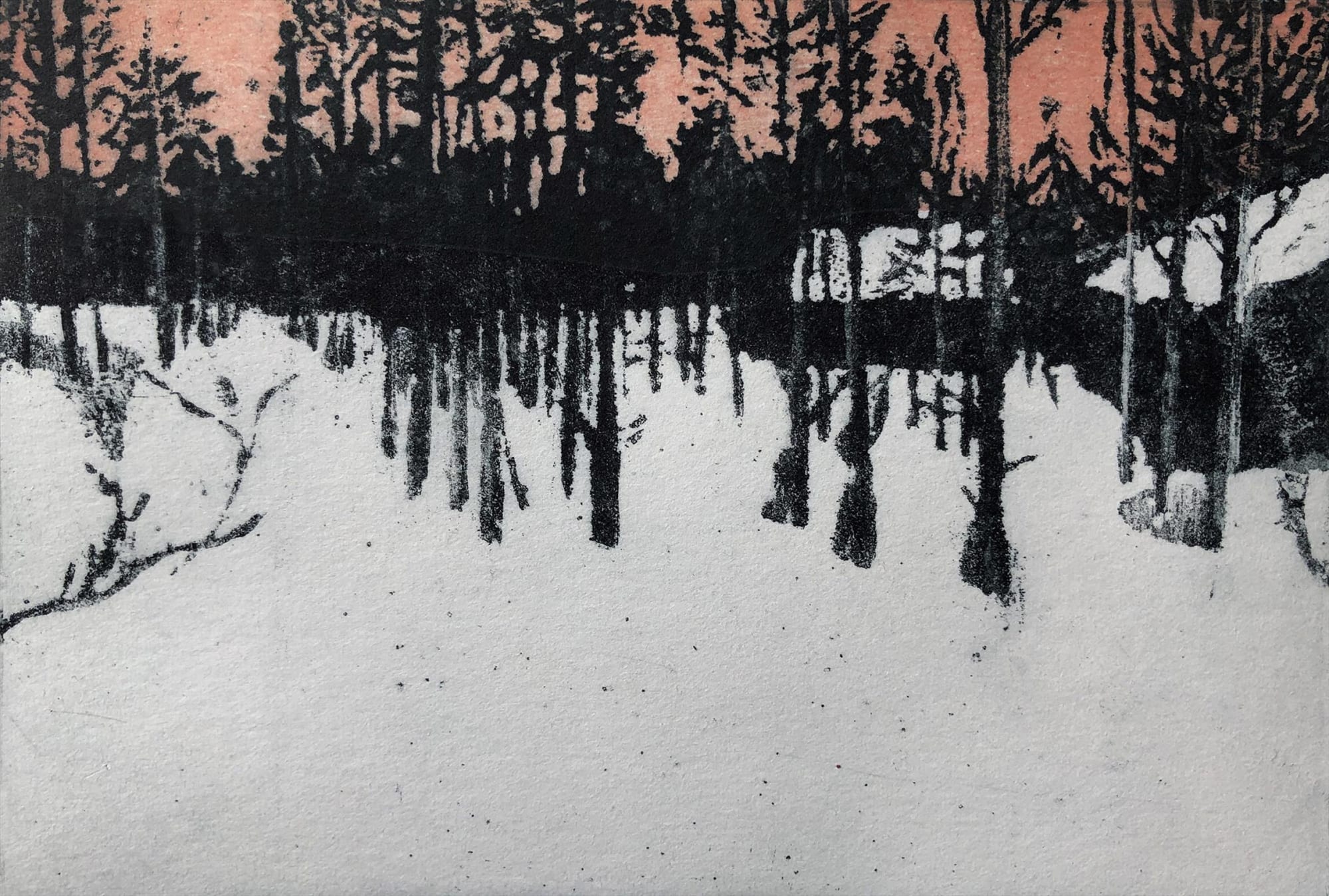 Helen Baines, Creeping Pink, etching, edition of 10, 26 x 31 x 3 cm