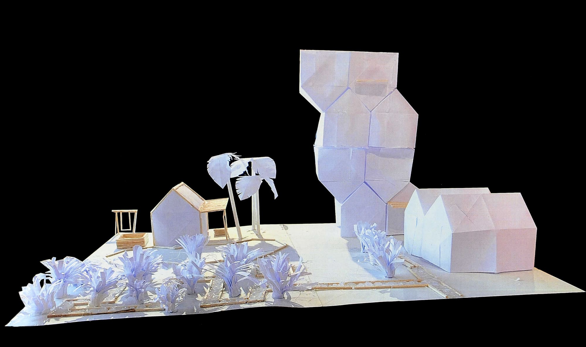 Brodies Regional Award East/South: Intermediate – Cameron Carvill, Eyemouth High School. Photo credit: Colin Hattersley