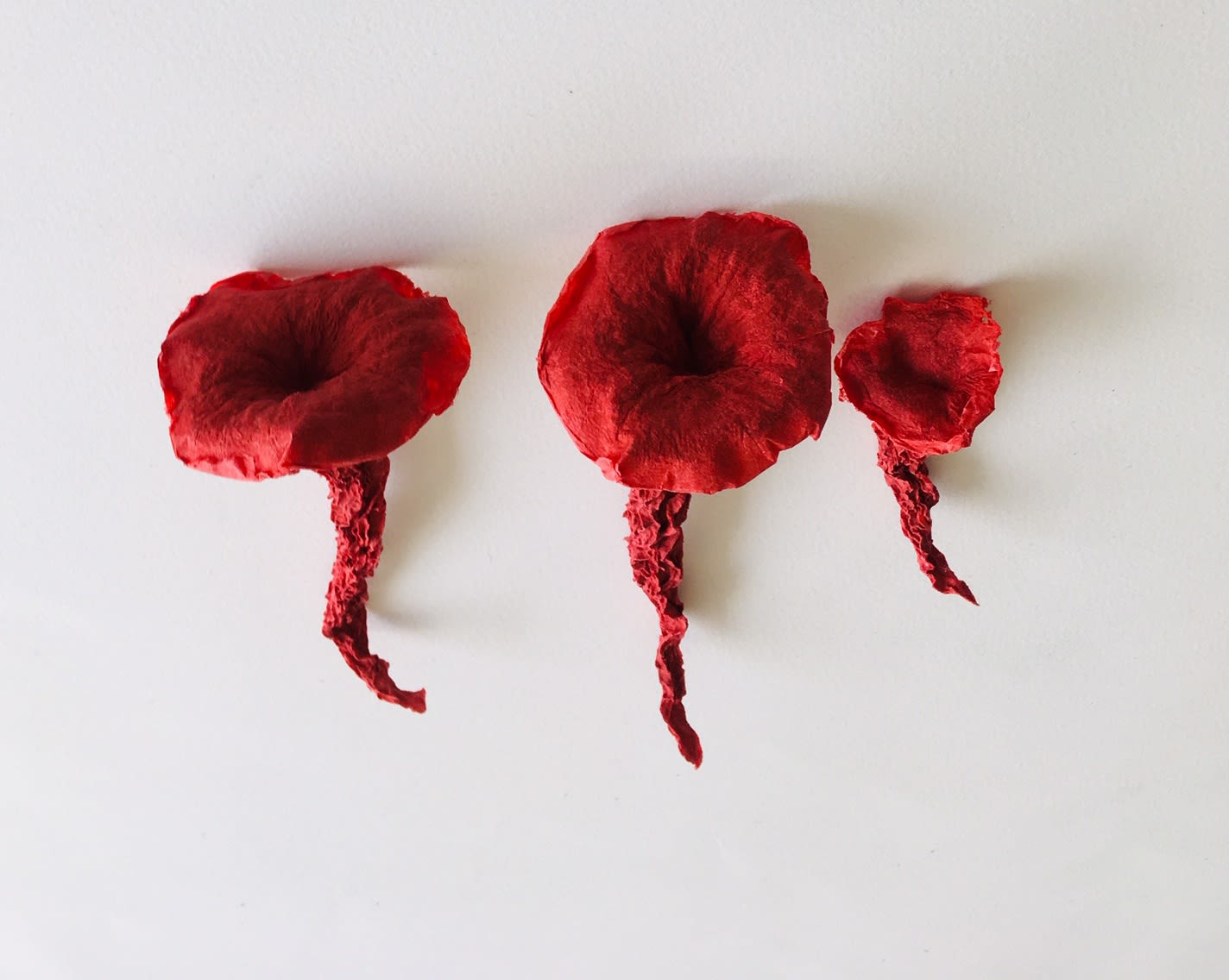 Jacki Parry RSA, Musas Rosas, 2019, cast handmade paper, 41 x 33 x 10 cm