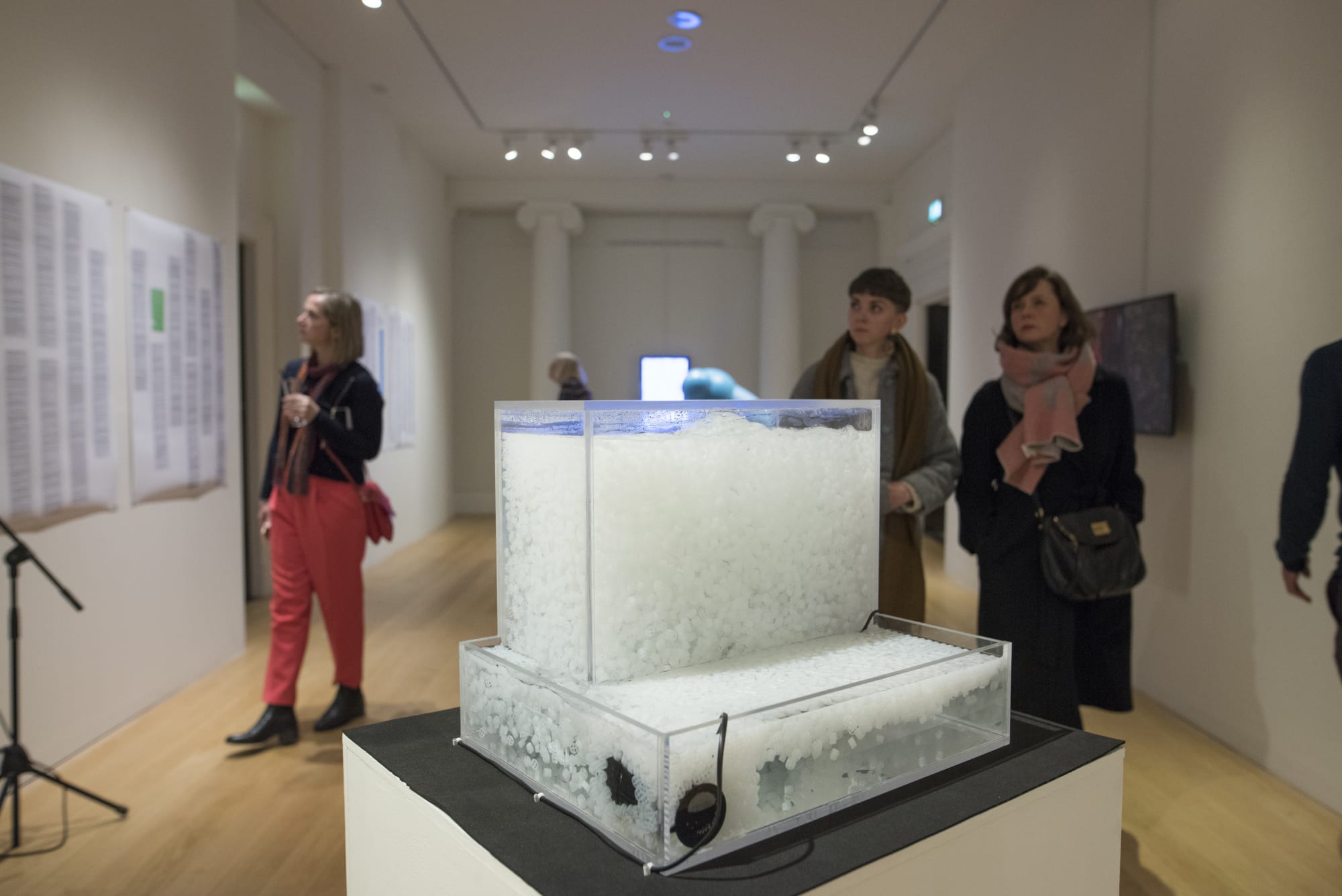 Image credit: Julie Howden