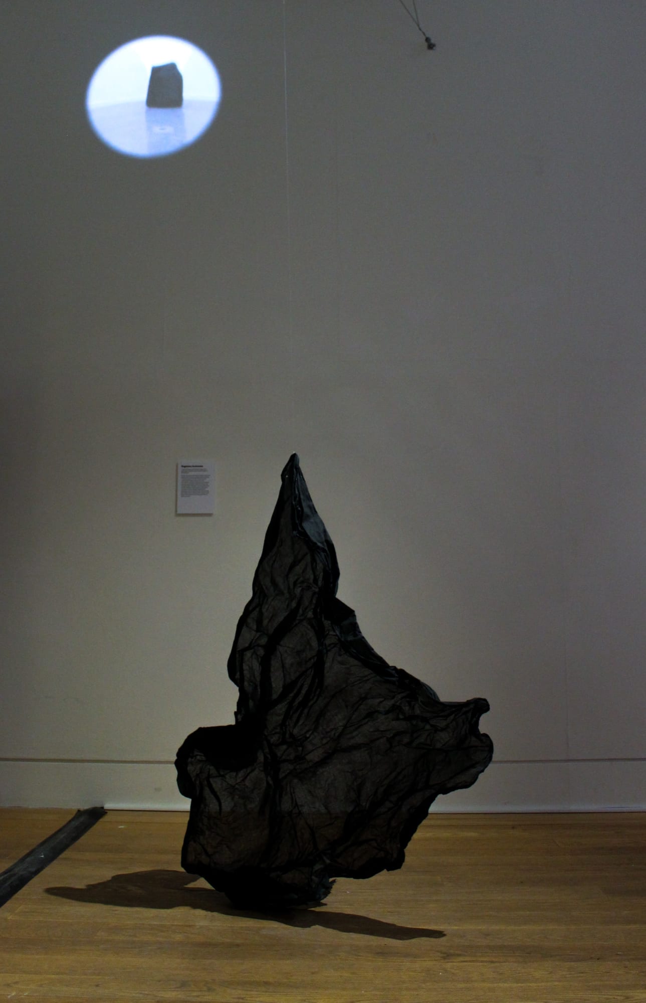 RSA New Contemporaries 2020