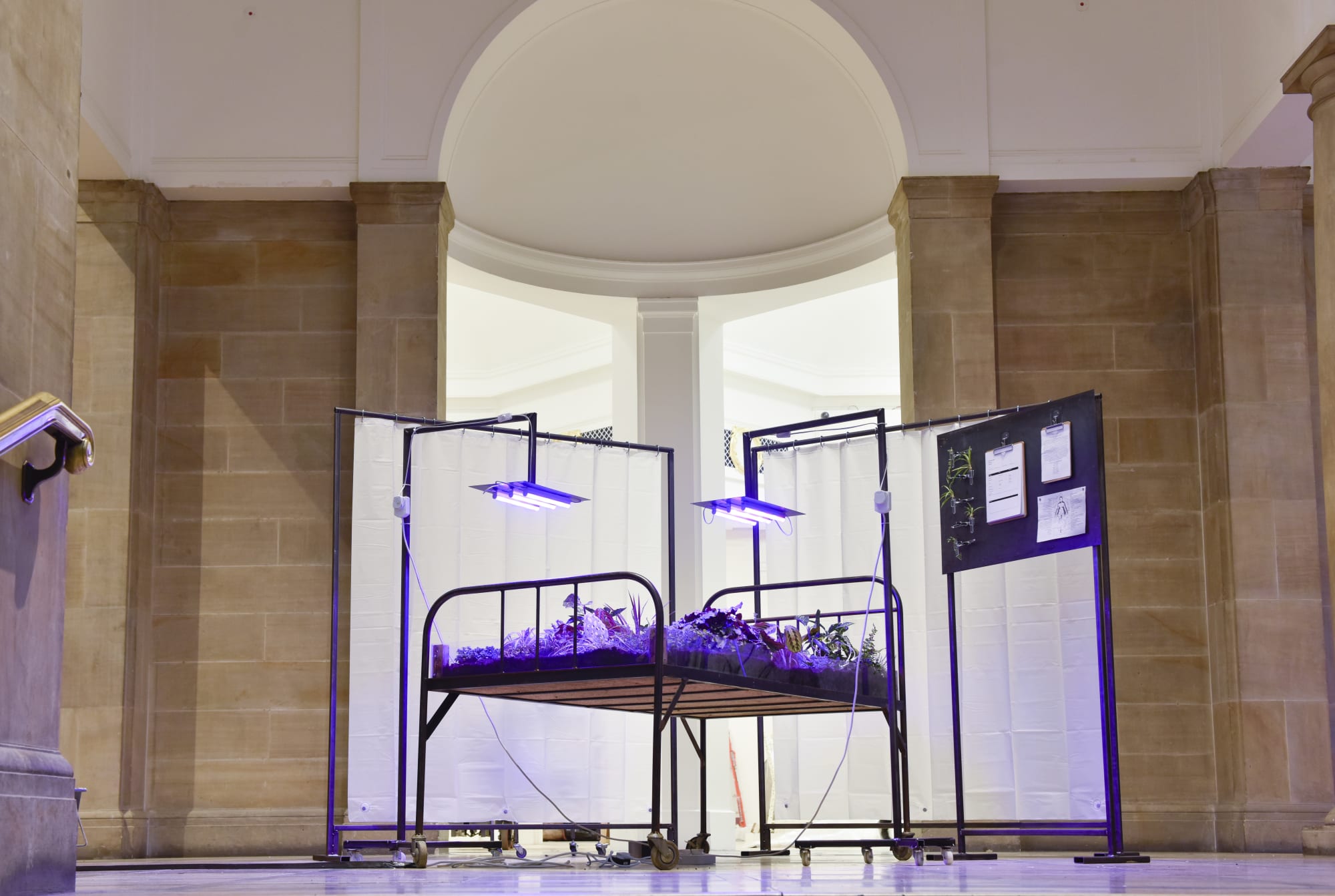 RSA New Contemporaries 2020