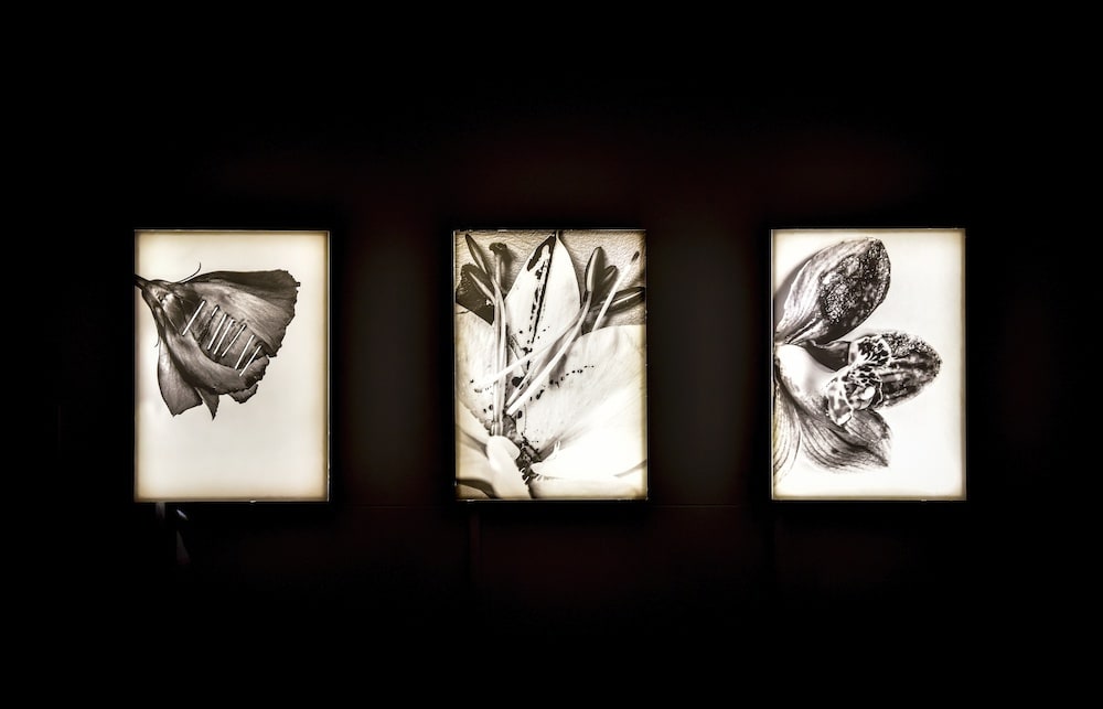 RSA New Contemporaries 2020