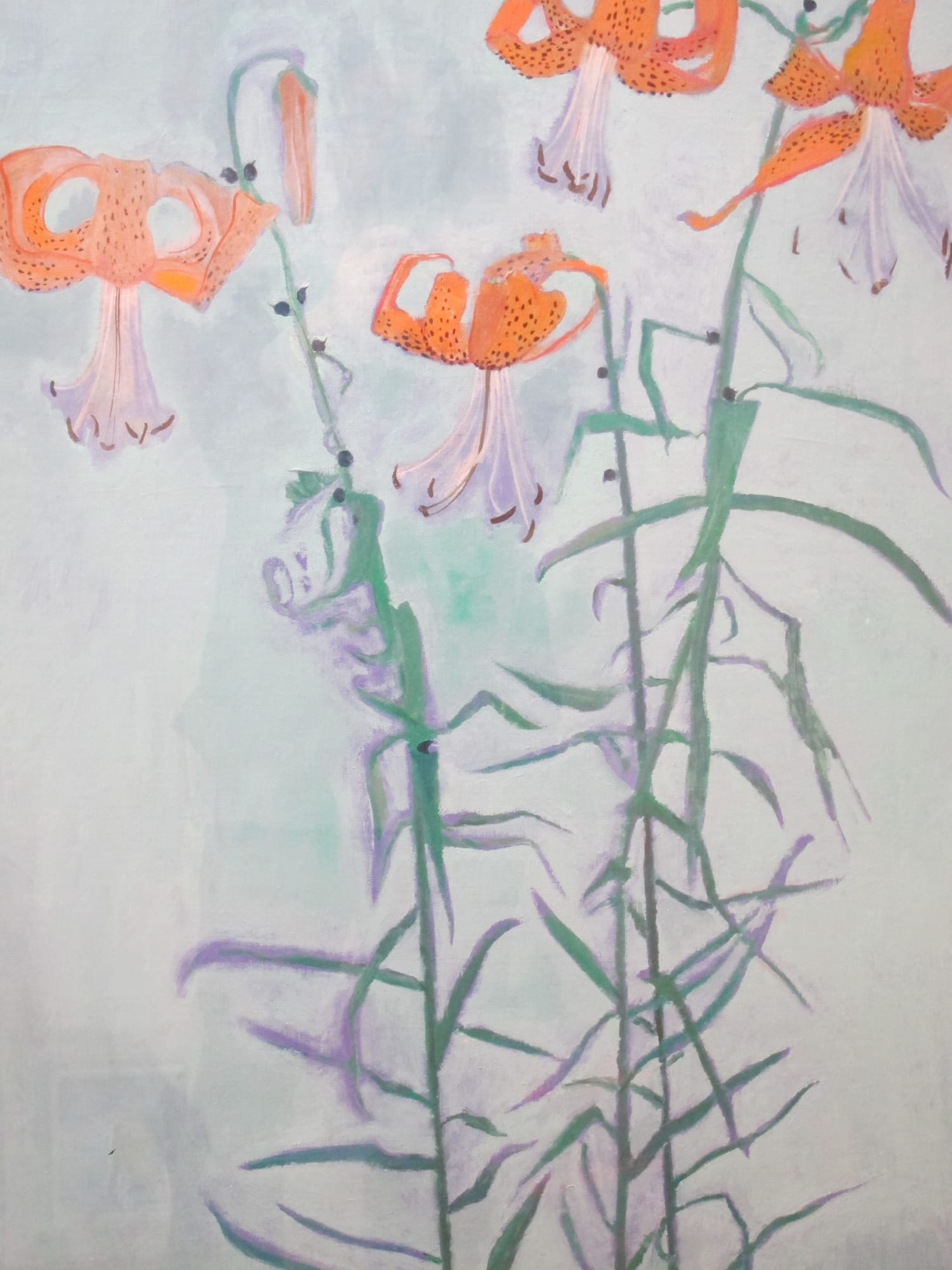 David Michie RSA, Tiger Lilies