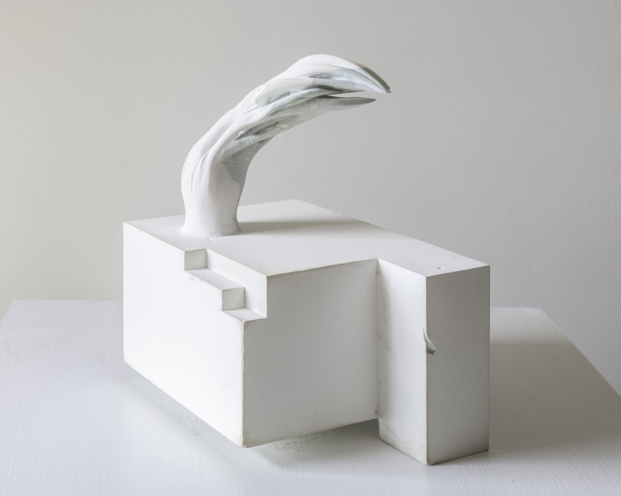 Gareth Fisher, Frond, 2008, plaster carving