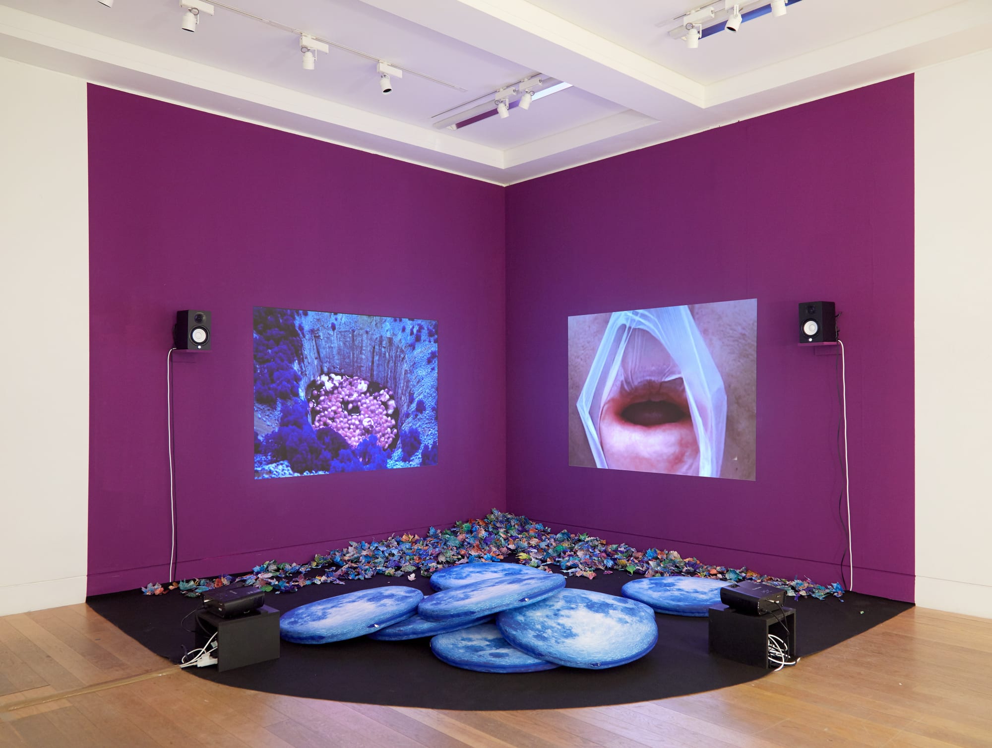 RSA New Contemporaries 2017