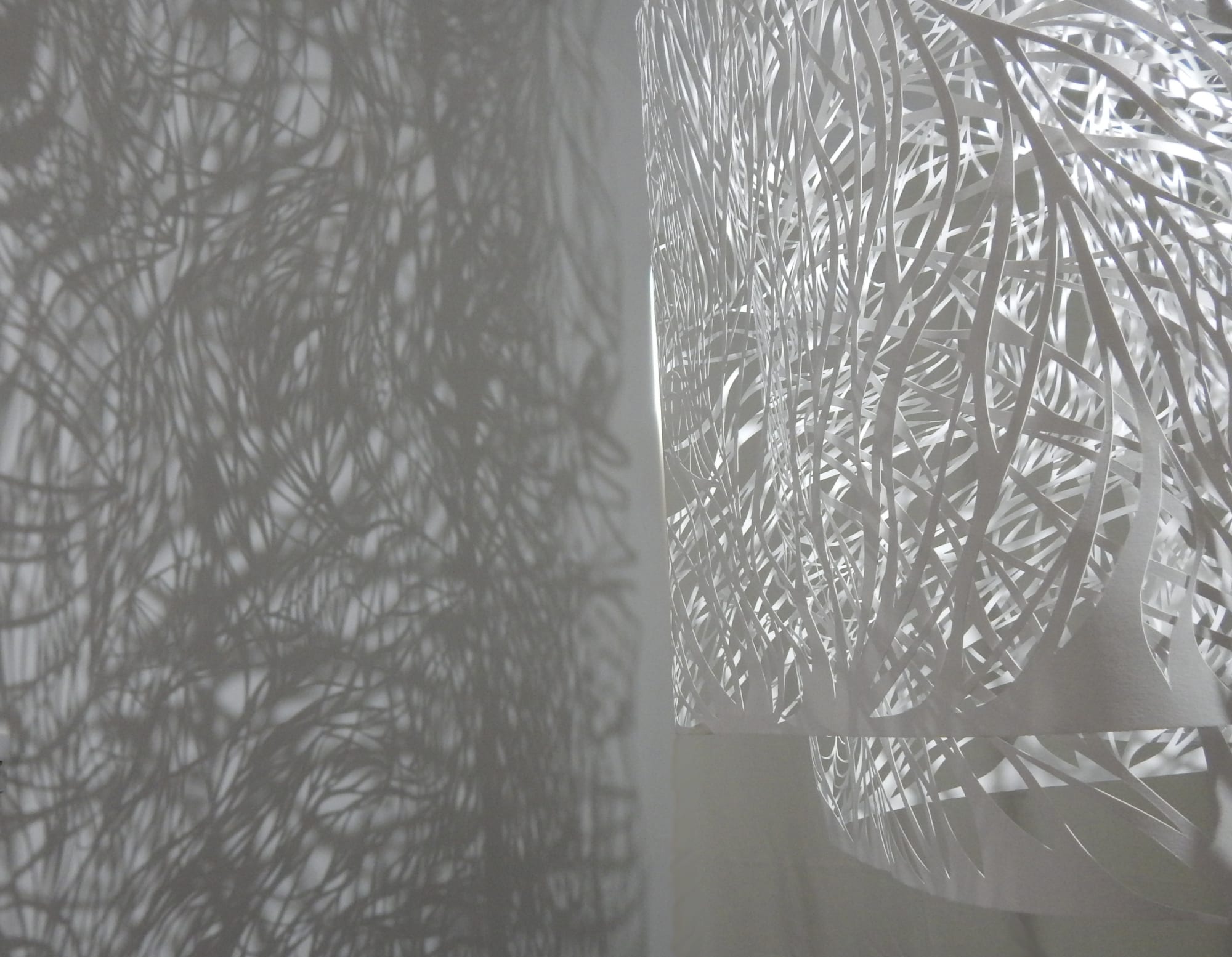 Anna Clark, Paper Installation, 2015, cut paper