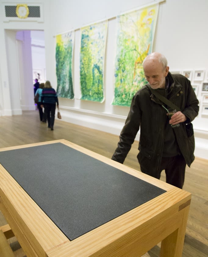 RSA New Contemporaries 2016