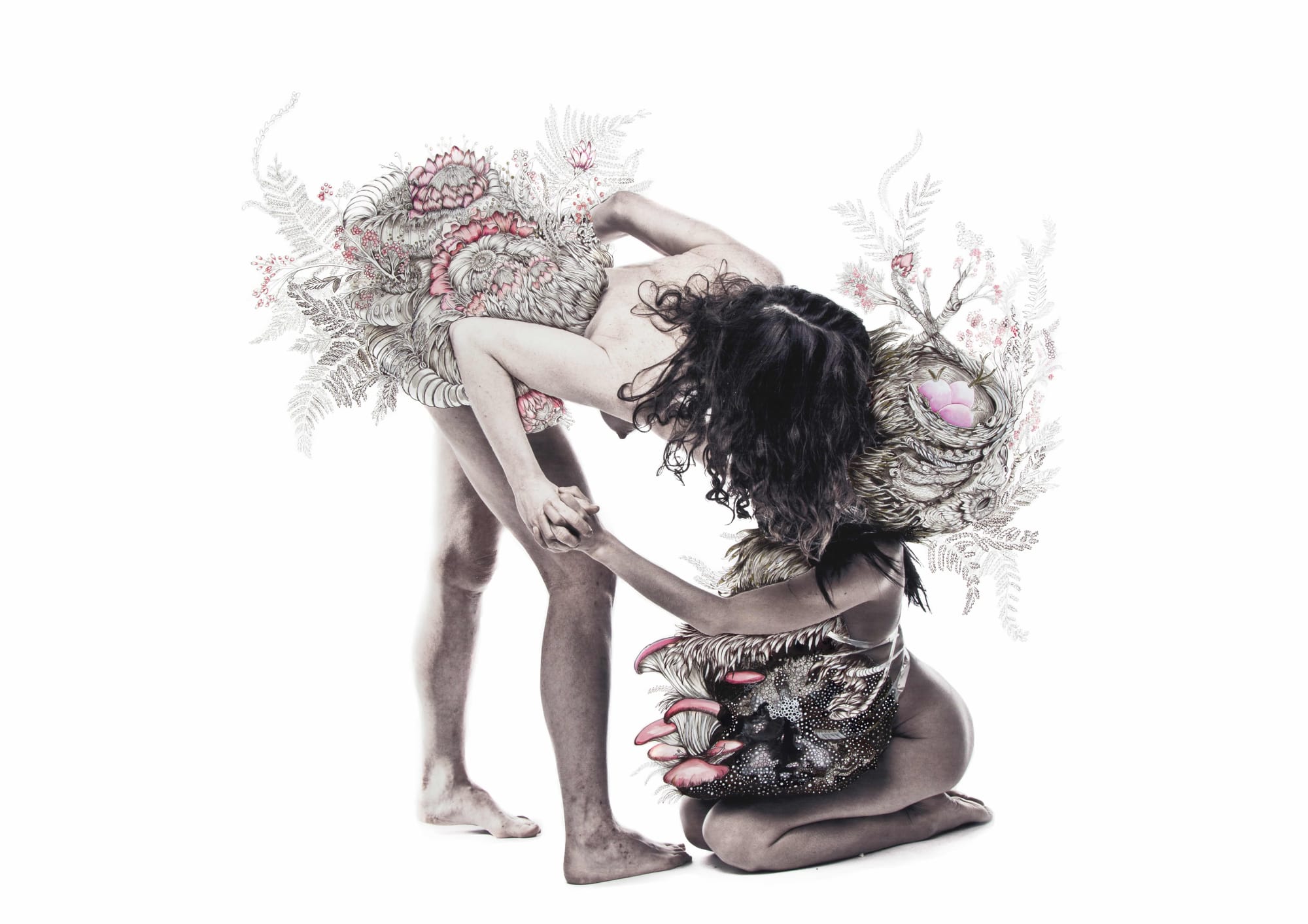 Yoletta Thorburn, Botanical Carnival, 2015, biro, graphite and watercolour on photograph