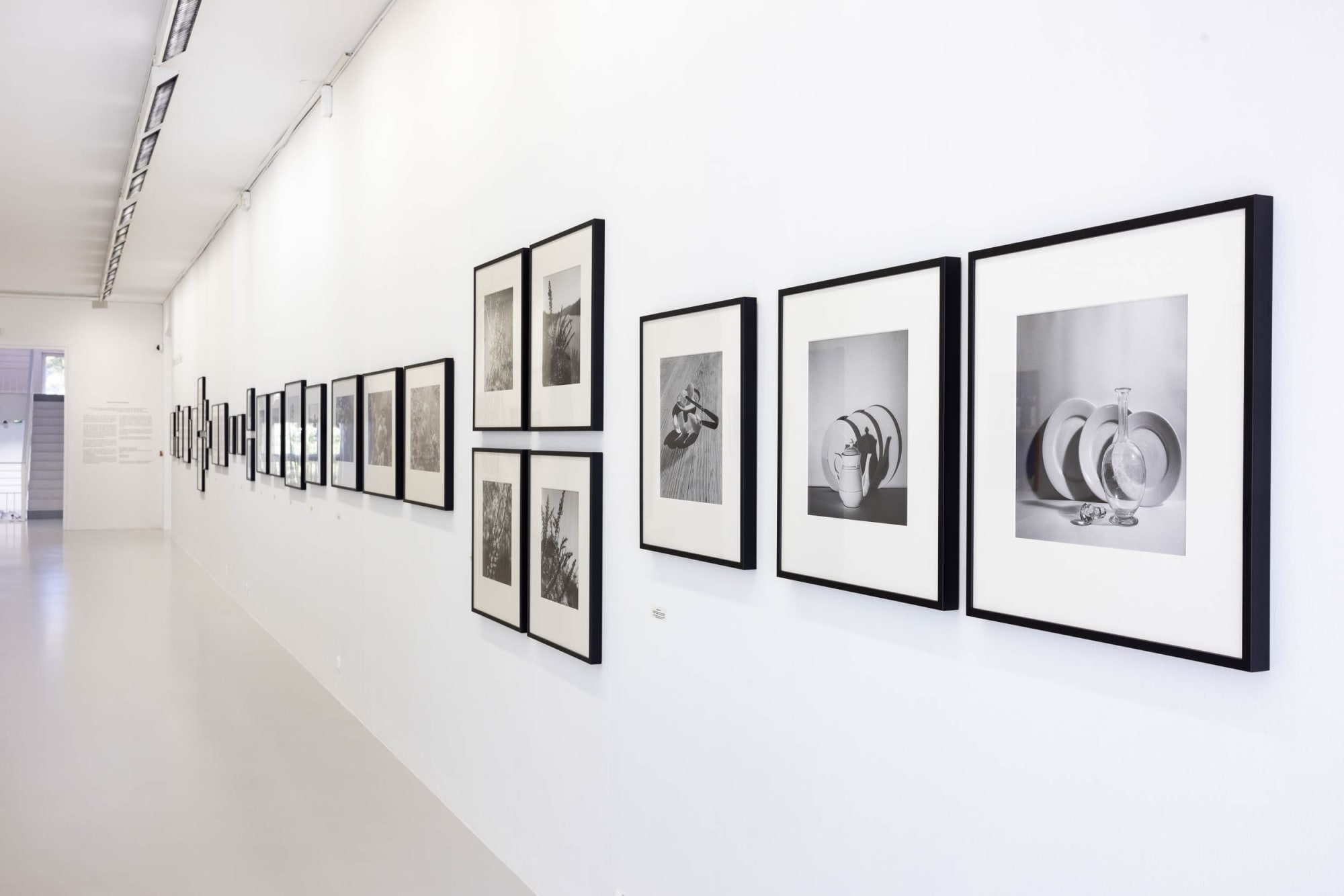 Un été au Portugal