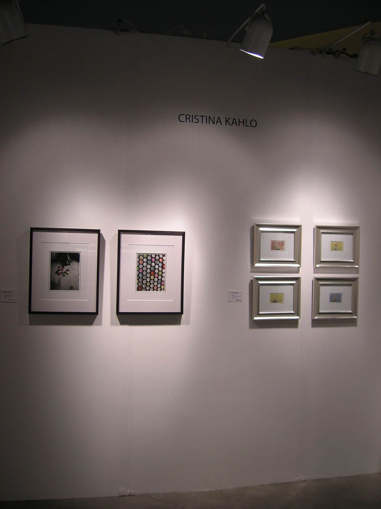 Arteamericas Art Fair 2009