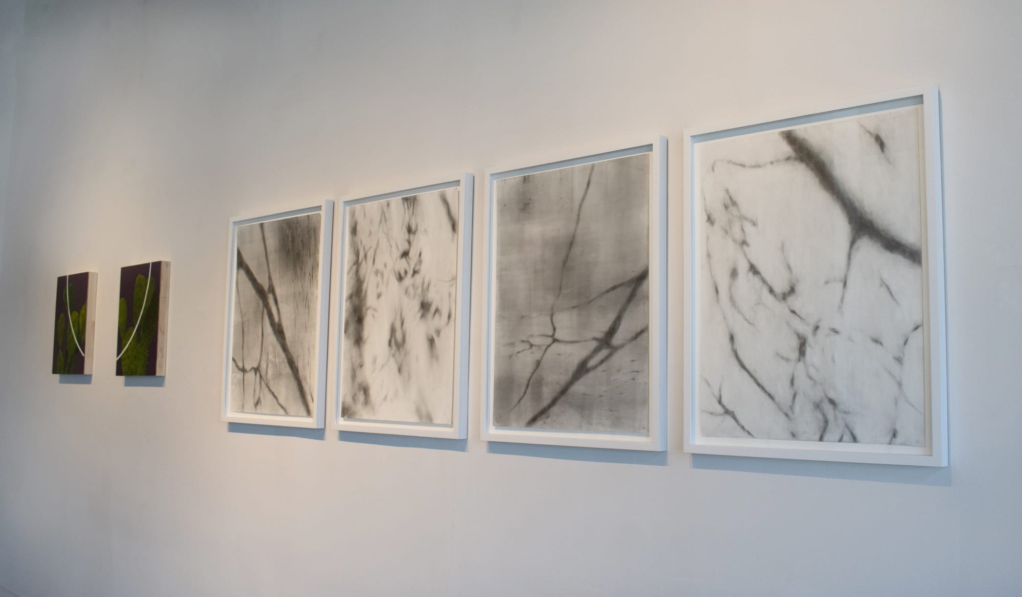 Installation images by Yadira Silva