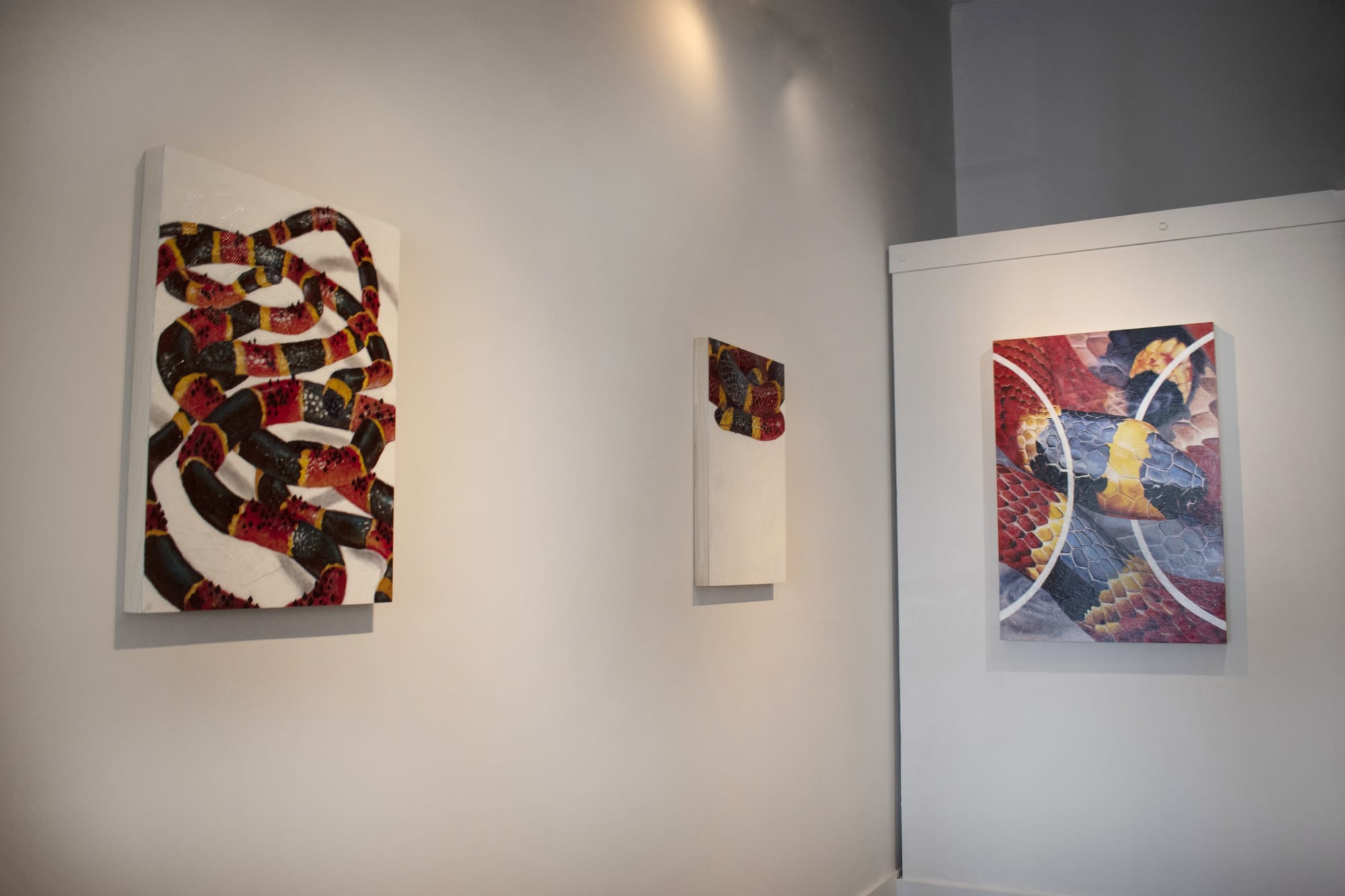 Installation images by Yadira Silva