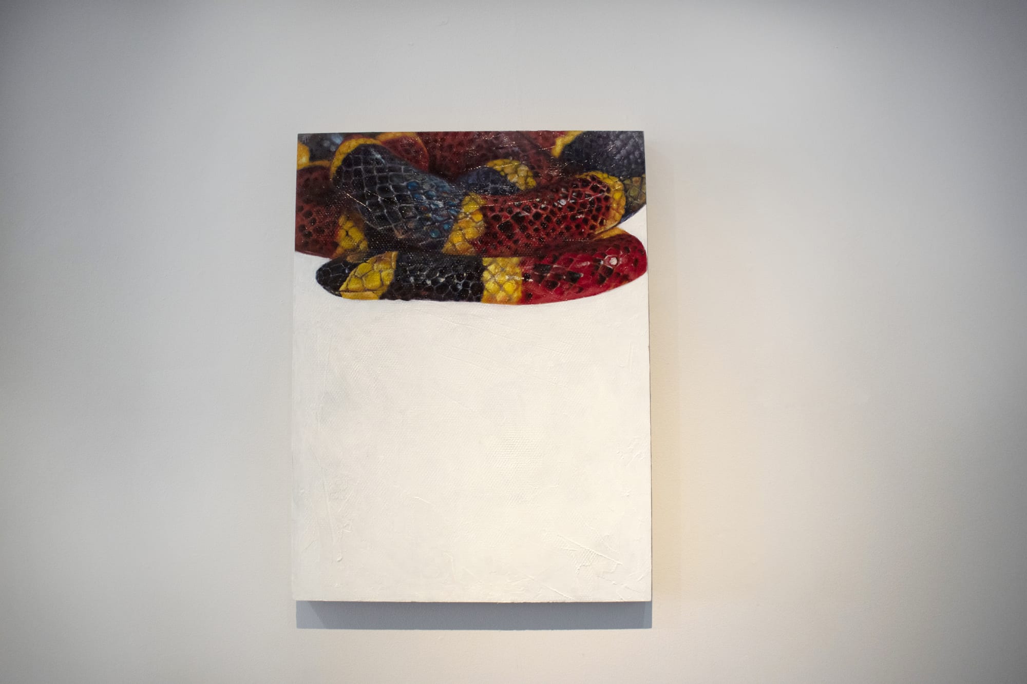 Installation images by Yadira Silva