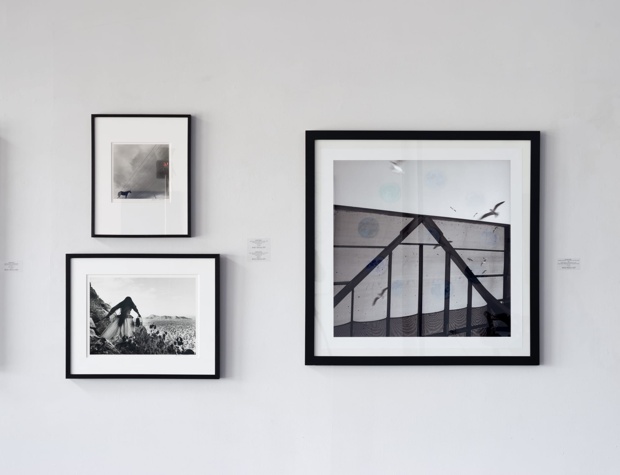 Installation images by Ansen Seale