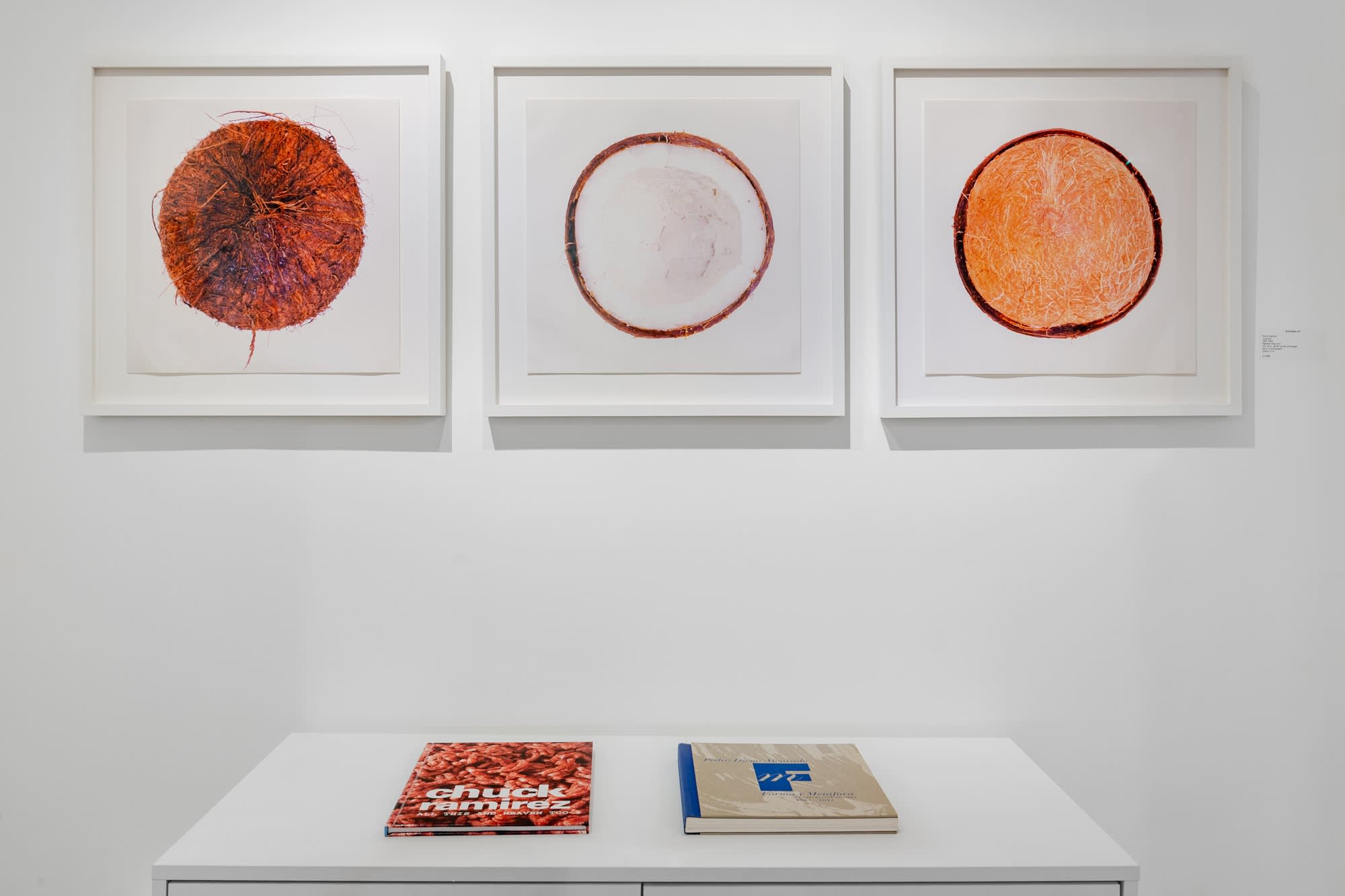 Installation images by Daniel Terna