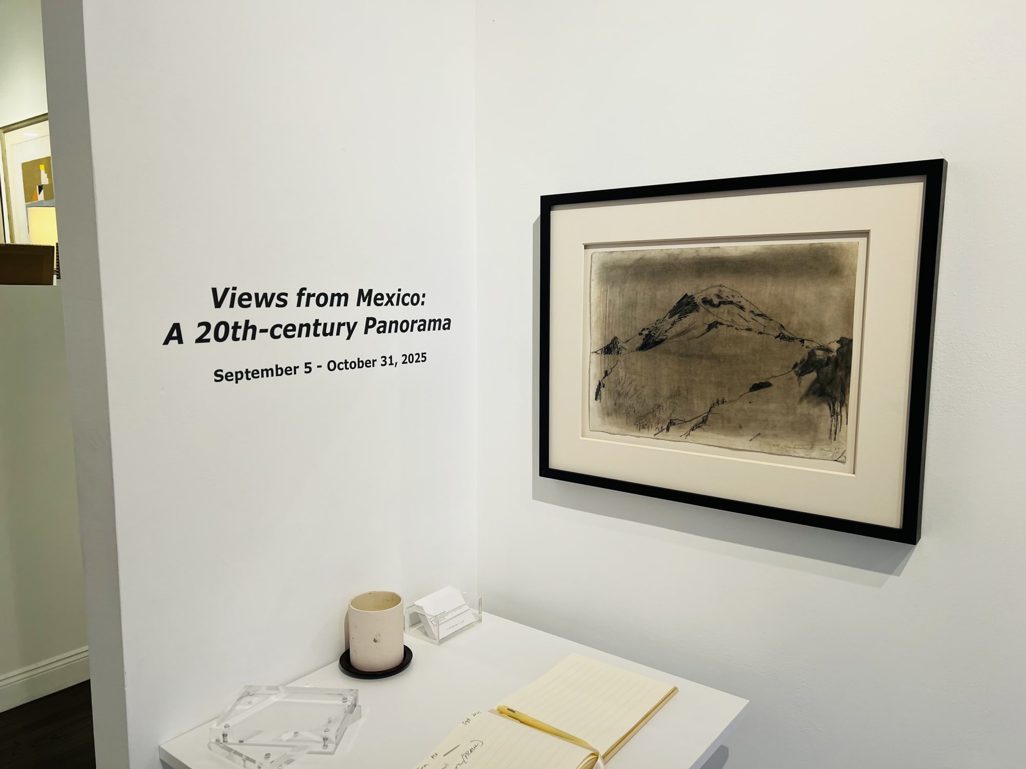 Views from Mexico: A 20th Century Panorama