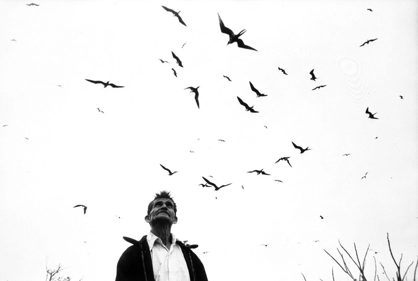 Graciela Iturbide El señor de los pájaros Nayarit, México, 1984
