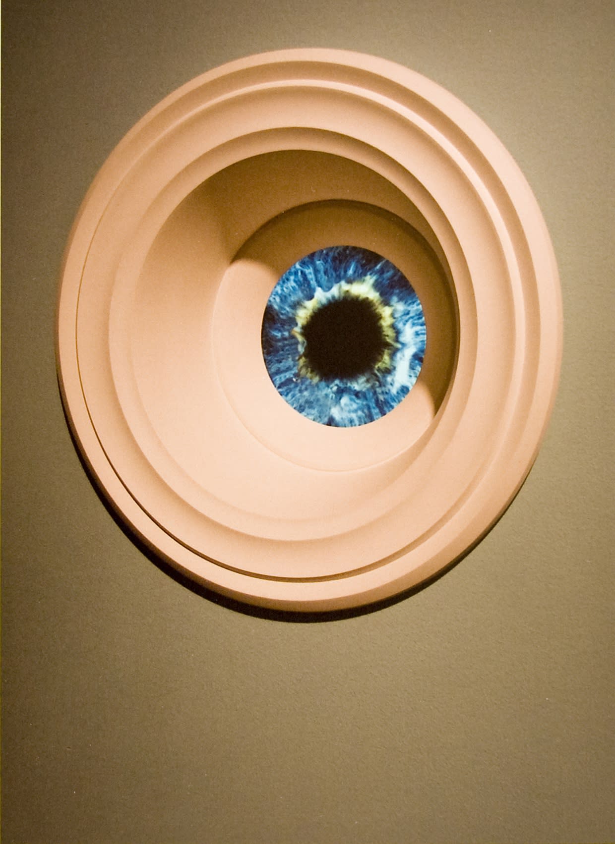 Jeffrey Mongrain The Iris of Dr. John Daugman, 2005