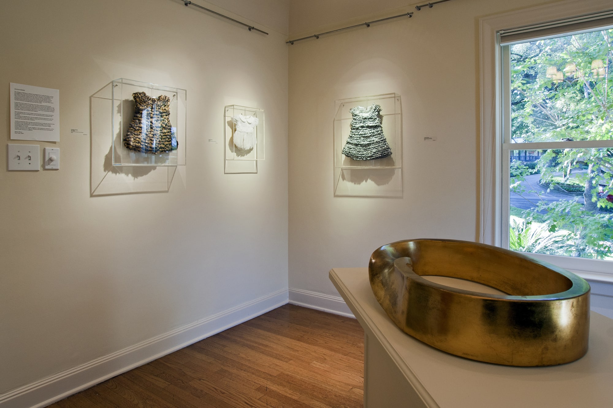 Cecilia Paredes: Nature my significant other