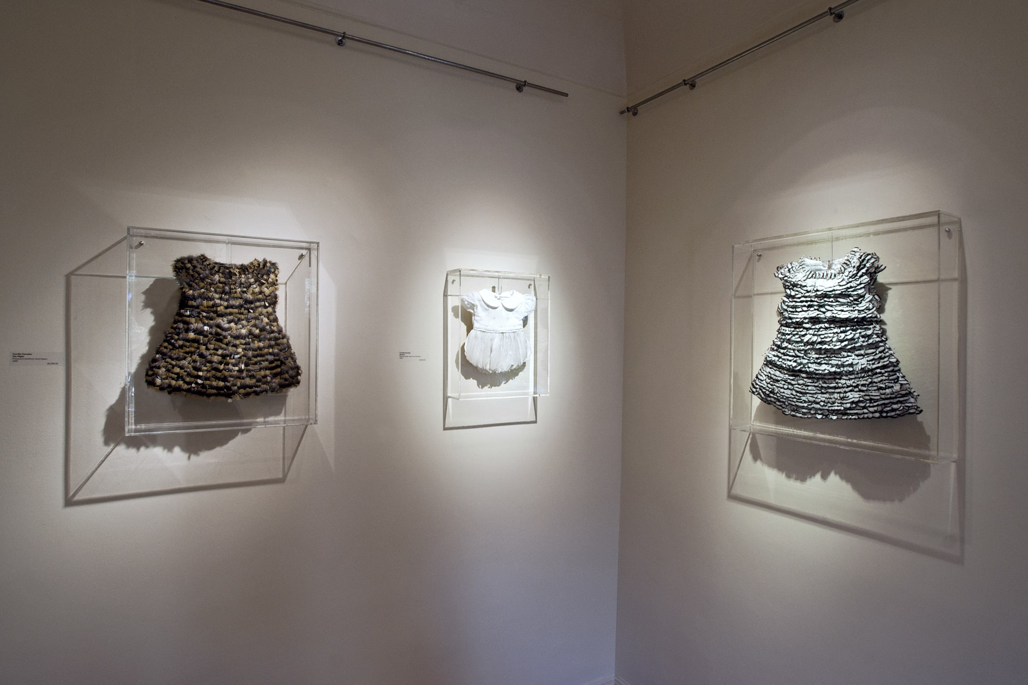 Cecilia Paredes: Nature my significant other