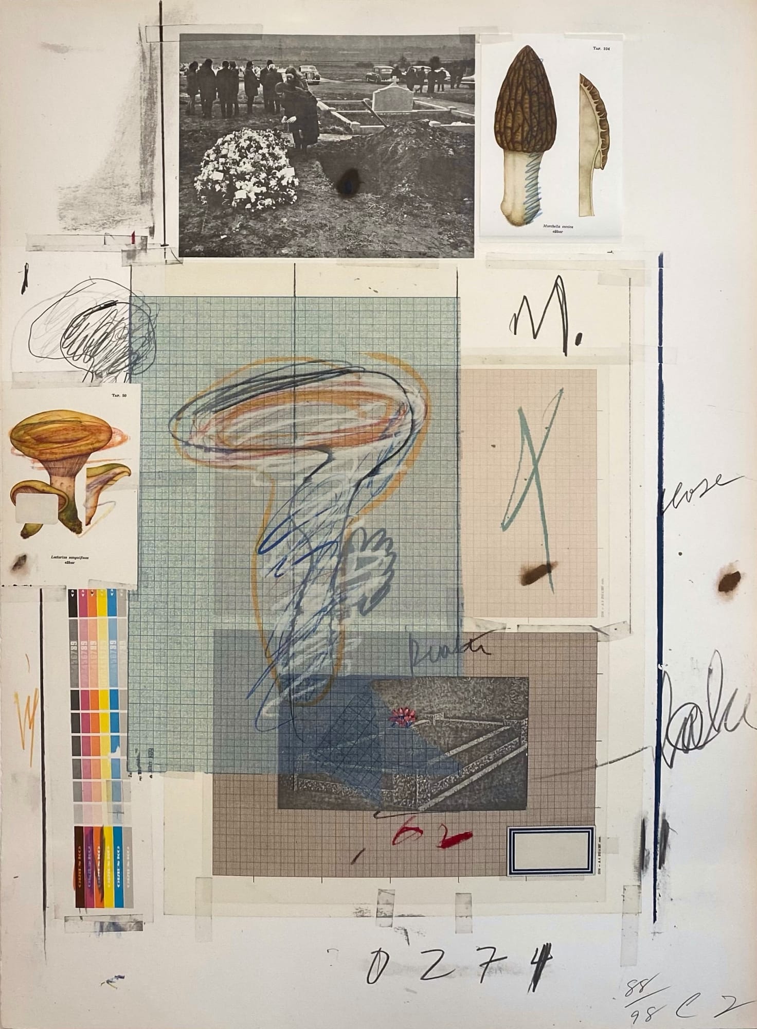 Cy Twombly: No. VII, From Natural History Part I - Mushrooms