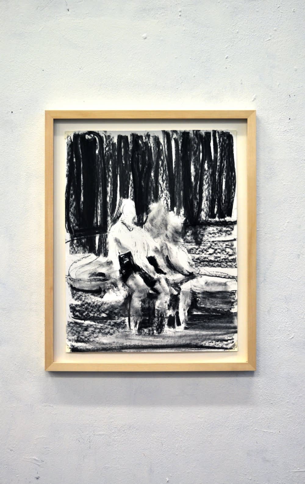 SEBASTIAN HOSU - NATURAL SELECTION - 2016 - CHARCOAL ON PAPER - 61 X 49 CM