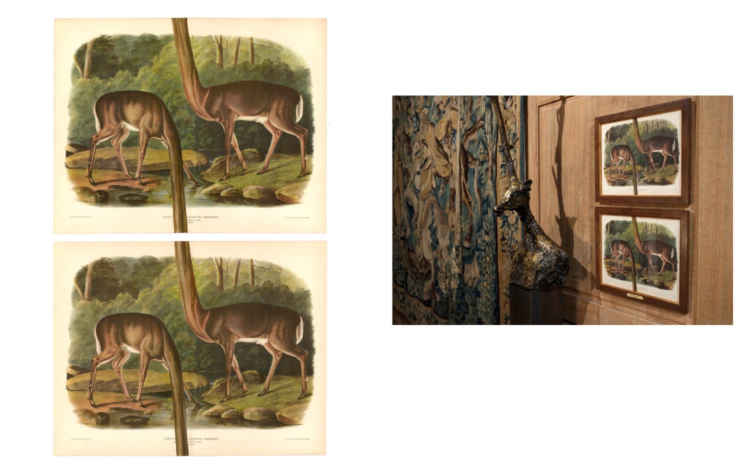 DANIEL HOROWITZ - CERVUS ITERATIVUS, WITH INSTALLATION VIEW (MUSÉE DE LA CHASSE, PARIS) - 2016 - GOUACHE AND ANTIQUE LITOGRAPH - 2 X 29 X 36,5 CM