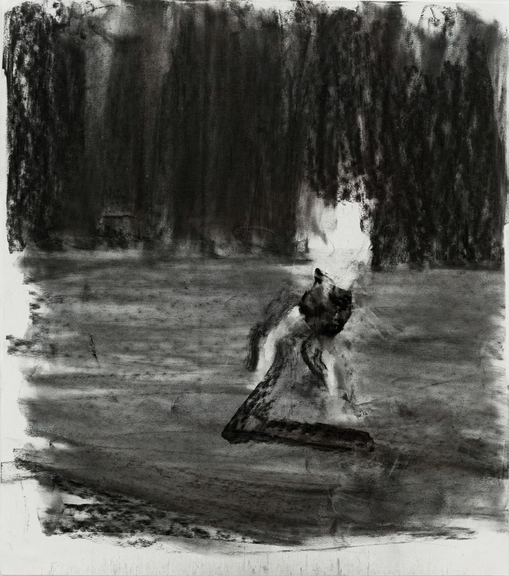 SEBASTIAN HOSU - FROM THE 'OUTSCAPE' SERIES - 2016 - CHARCOAL ON PAPER - 68 X 75 CM