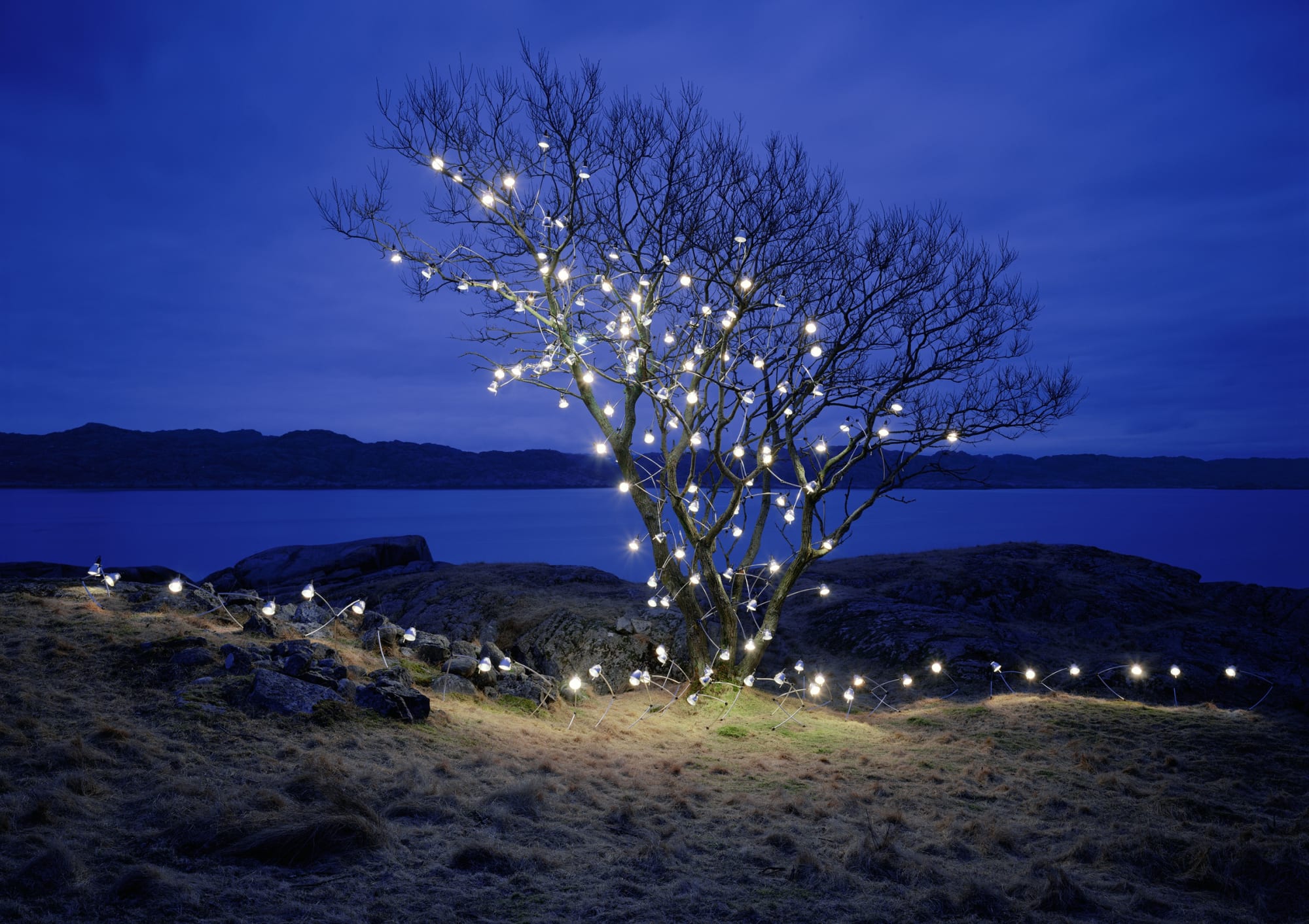 RUNE GUNERIUSSEN - A FINALIZED INDEPENDENT TIME - 2013 - DIGITAL C-PRINT/ALUMINIUM/LAMINATE - 125 X 176 CM (EDITION 4 OF 5)