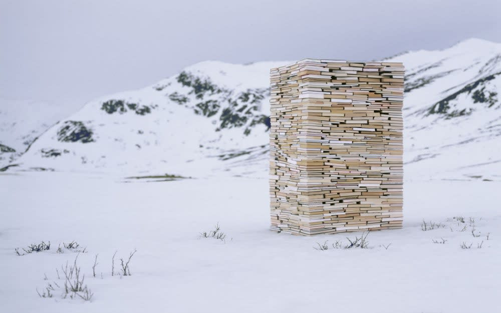 RUNE GUNERIUSSEN - SUSTAINED SUBSTANCE - 2014 - C-PRINT ON ALUMINIUM - 60 X 90 CM (EDITION 1 OF 5)