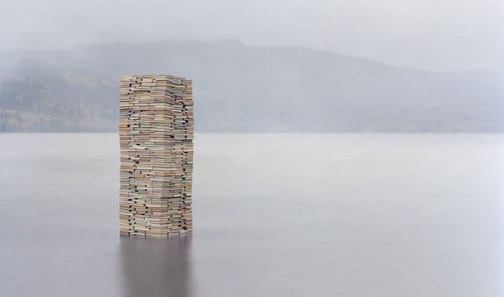 RUNE GUNERIUSSEN - UNINTENDED CONSEQUENCES OF US - 2014 - C-PRINT ON ALUMINIUM - 115 X 195 CM (EDITION 1 OF 5)