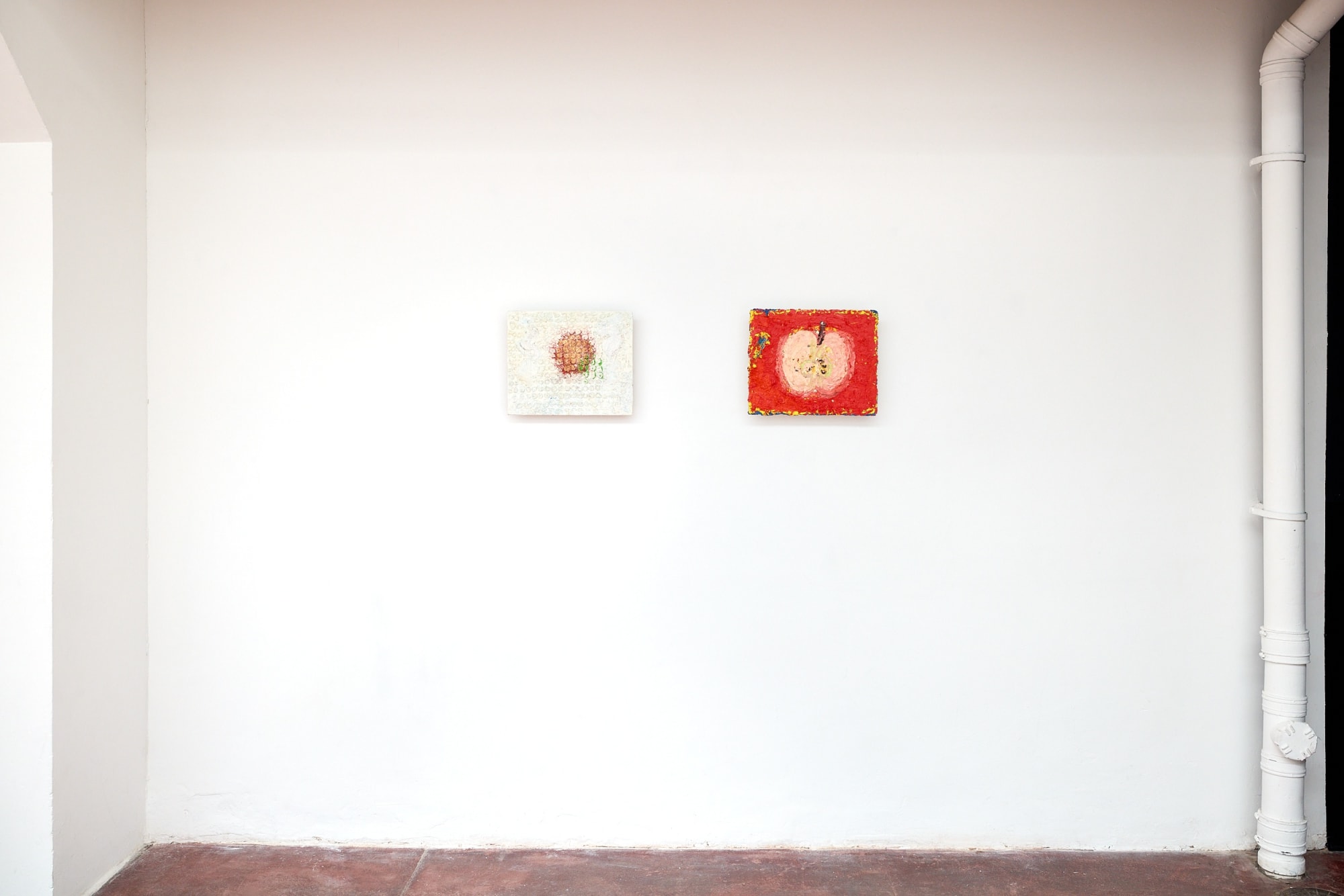 Instal shot, リンゴの中に種はあるのか?(Are there seeds inside the apple?), May 2025, London, UK