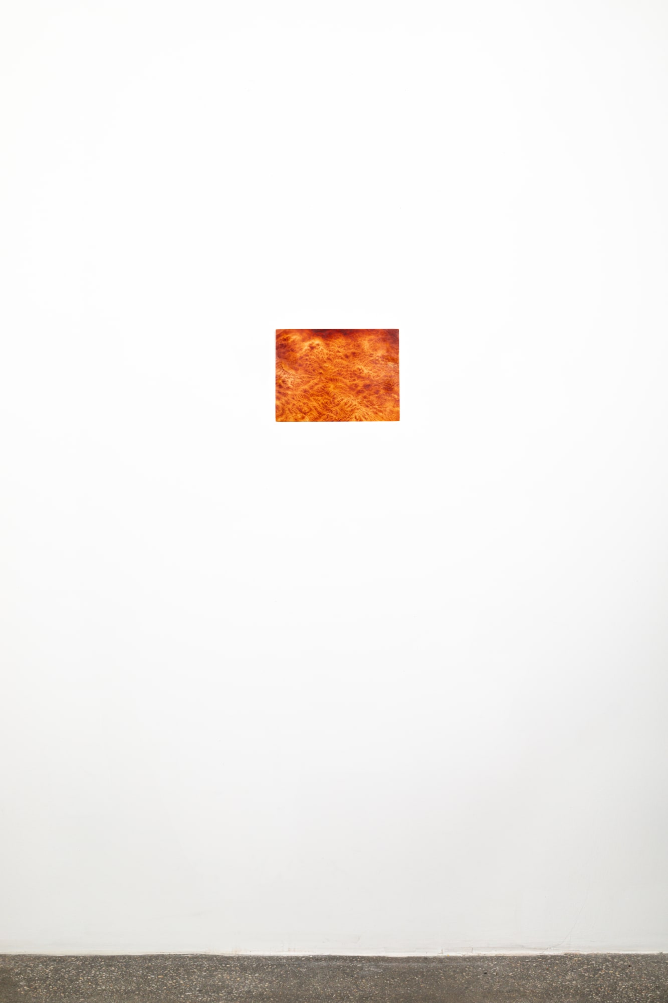 Ava Markle, Untitled, 2024