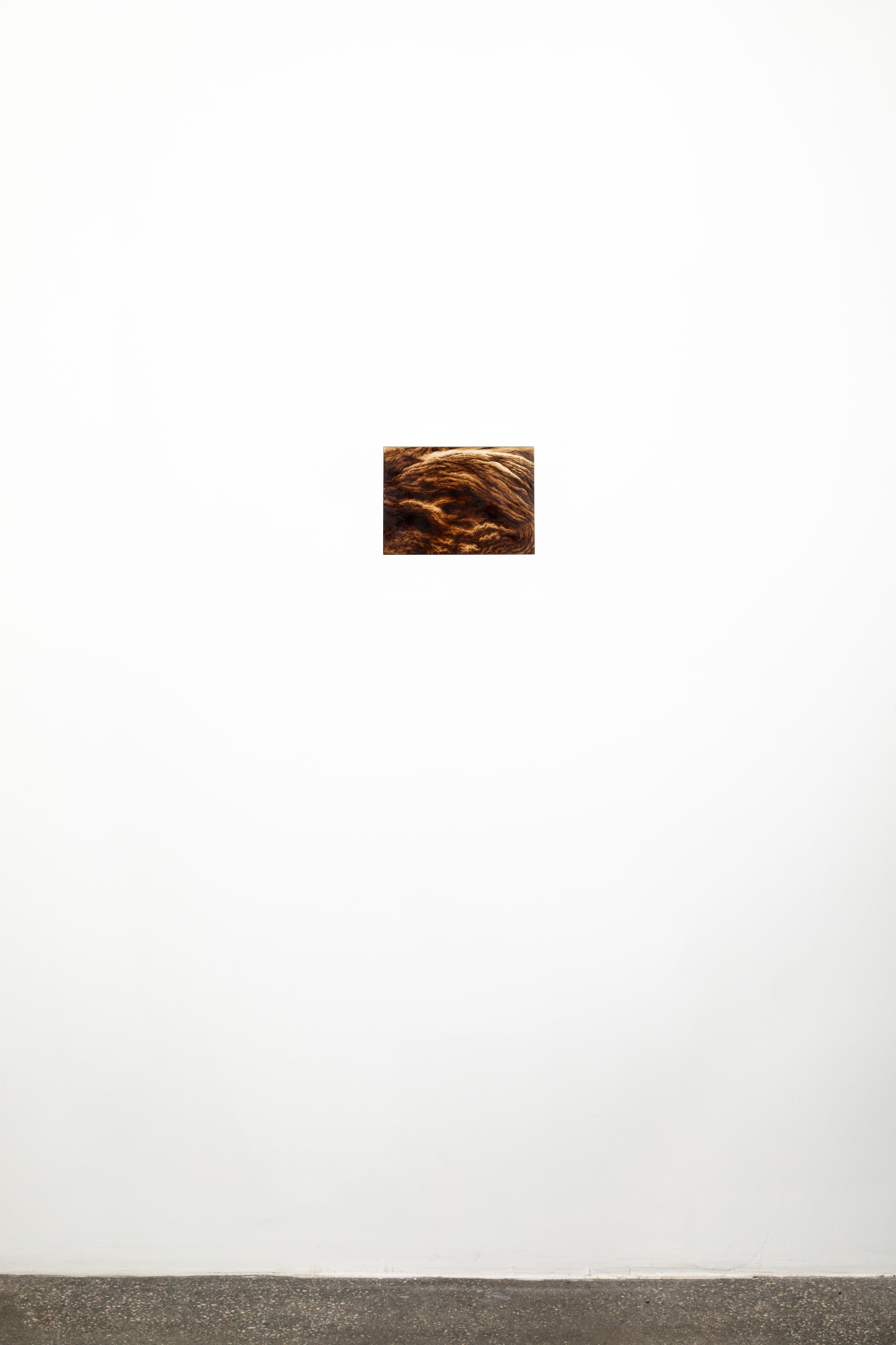 Ava Markle, Untitled, 2024