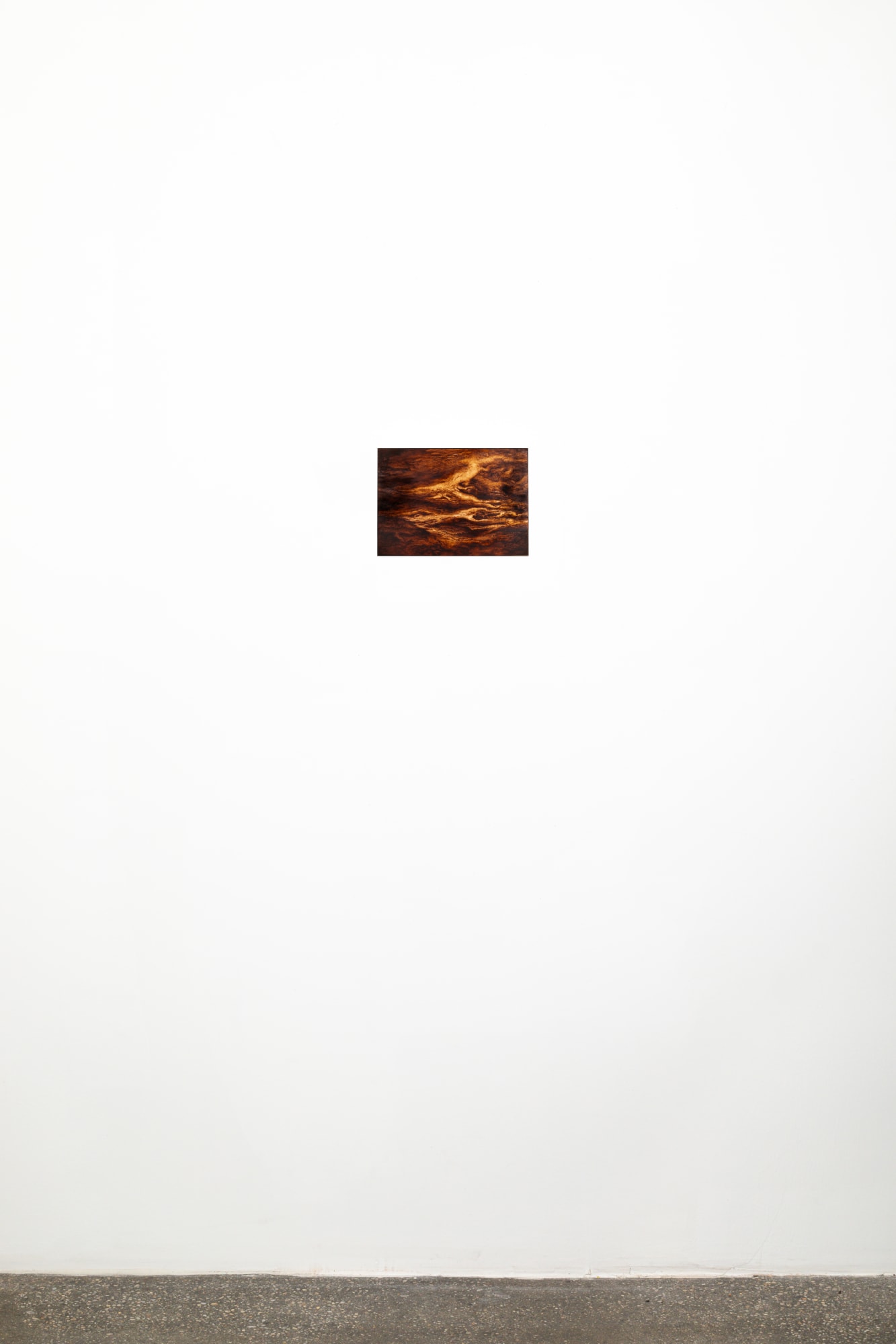 Ava Markle, Untitled, 2024