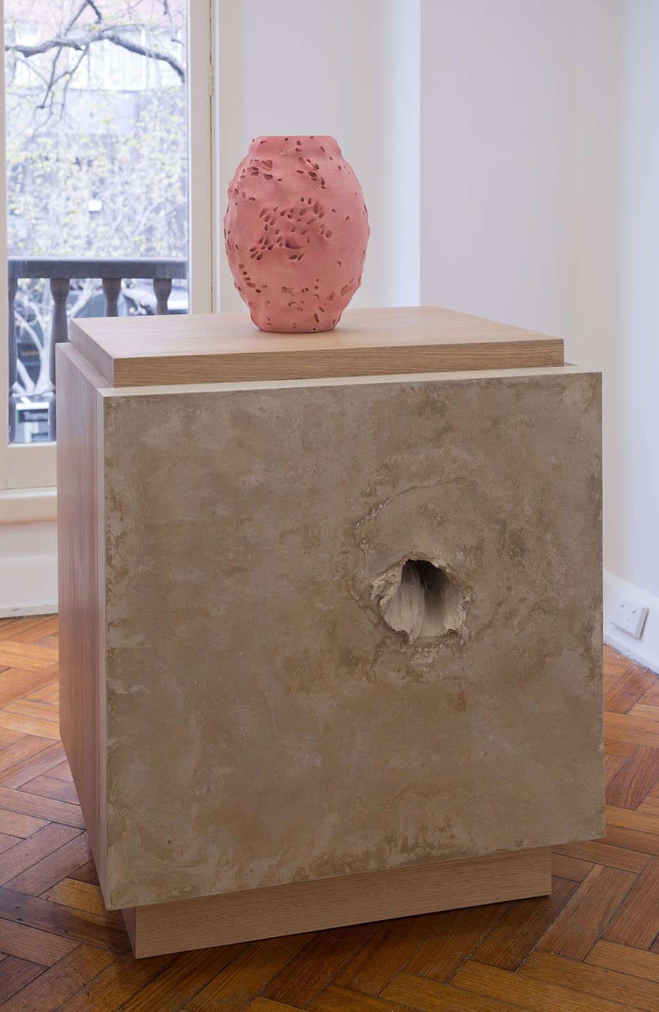 Fiona Abicare, America in the dark with Rosebud, 2016