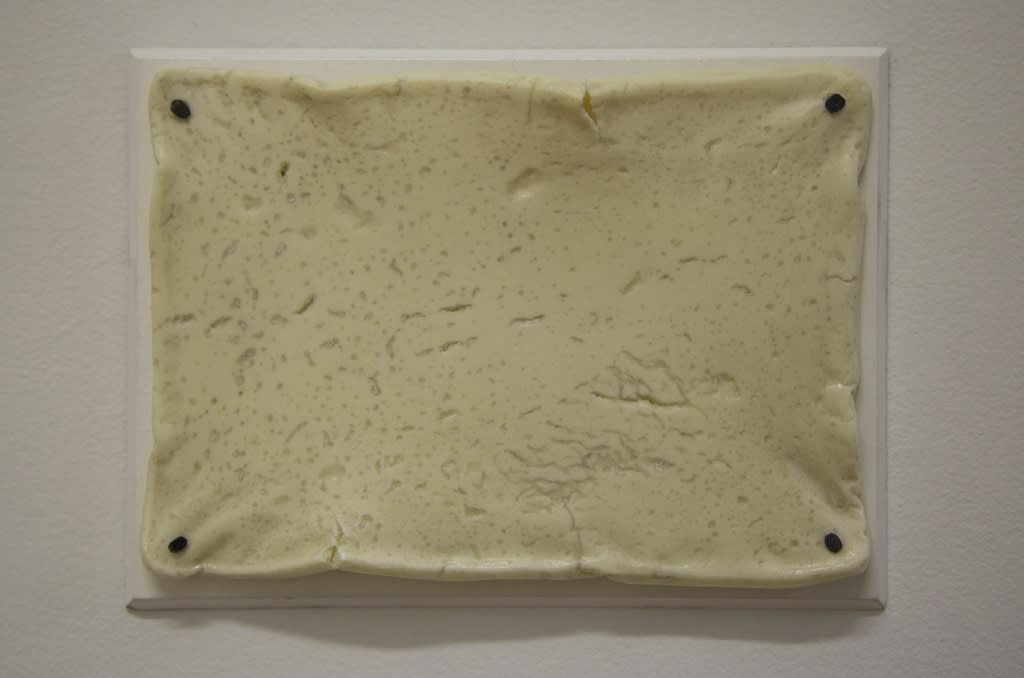 Susan Jacobs, Yield (milk plaque), 2014