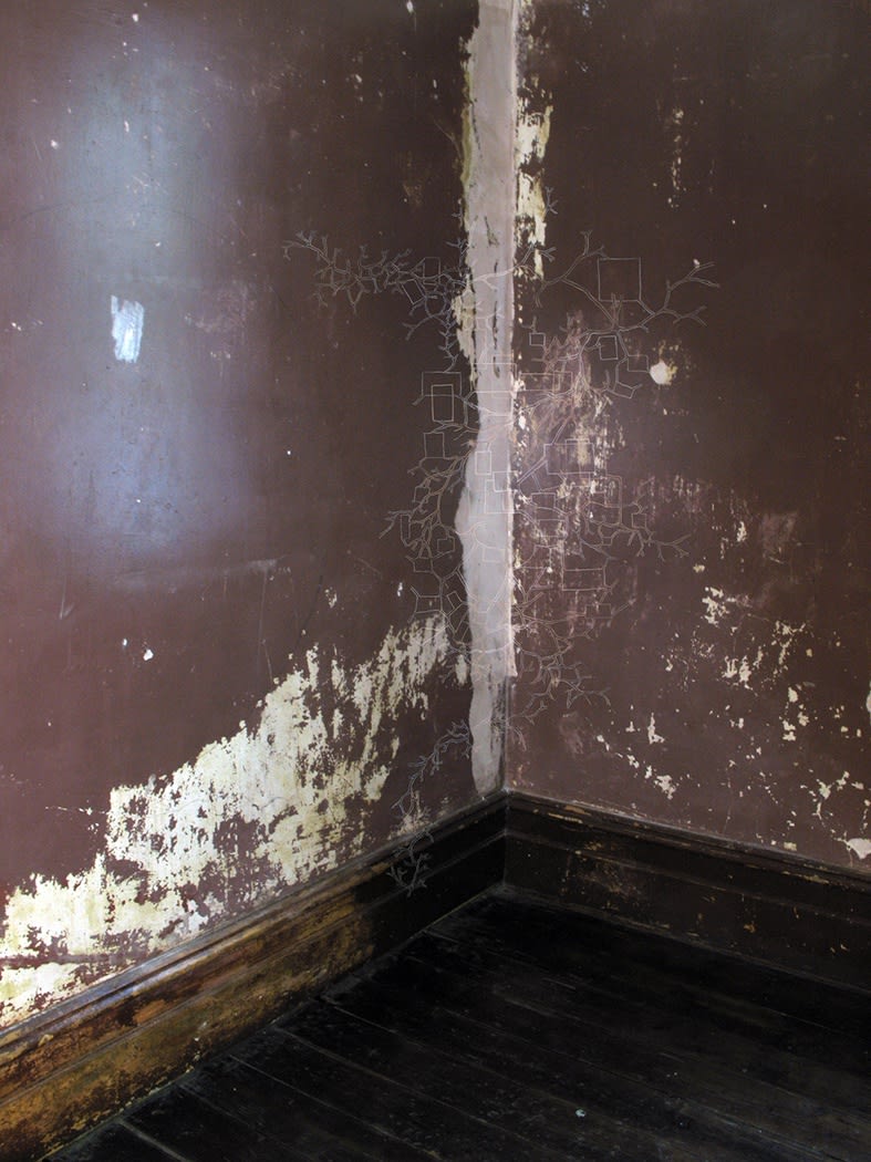 Carolyn Eskdale, untitled after room 1, 2010