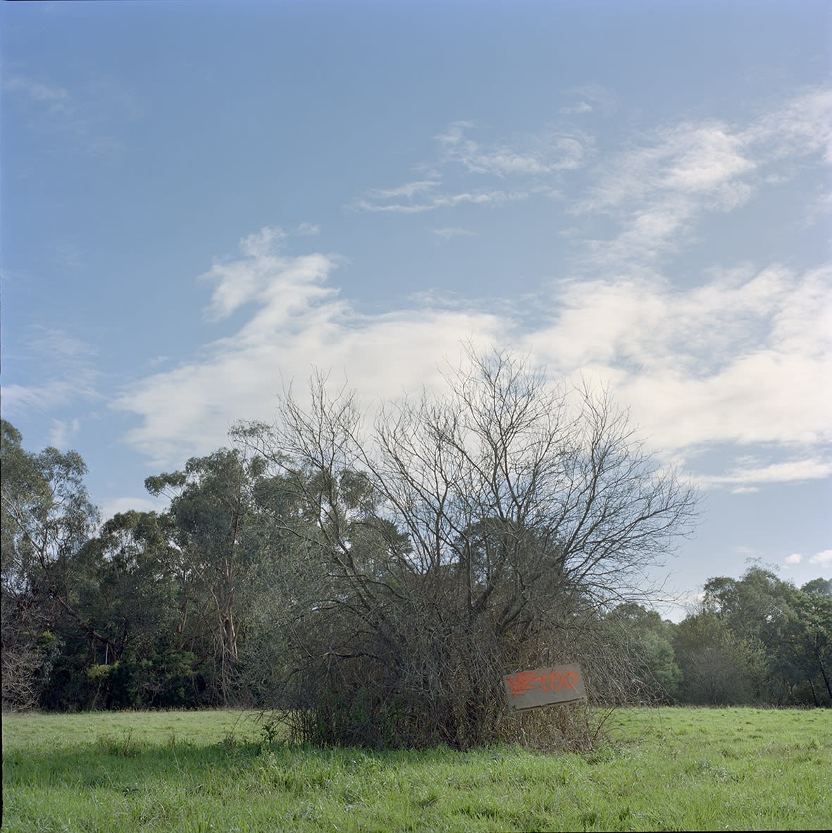 Kiron Robinson: Hello. You’ve made it.