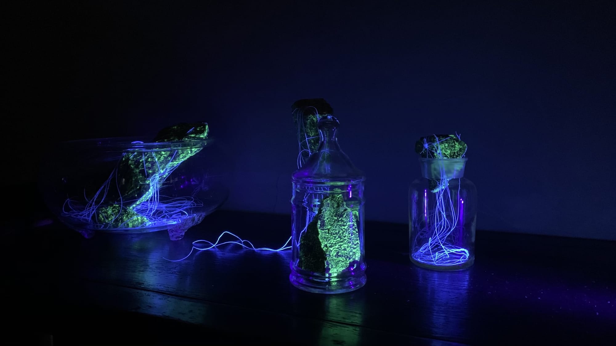 reCONNECT to disCONNECT