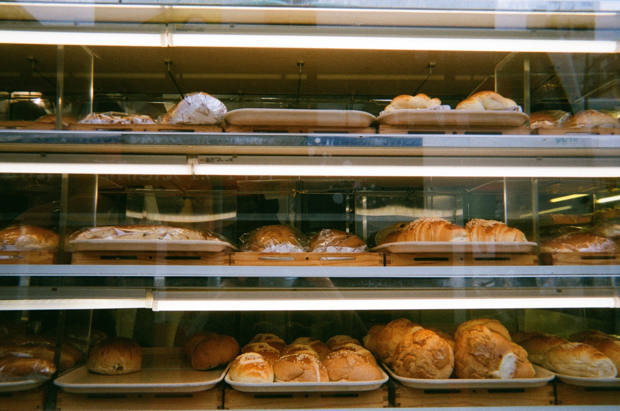 Photos: Courtesy of Alex Wong and Schoeni Projects.