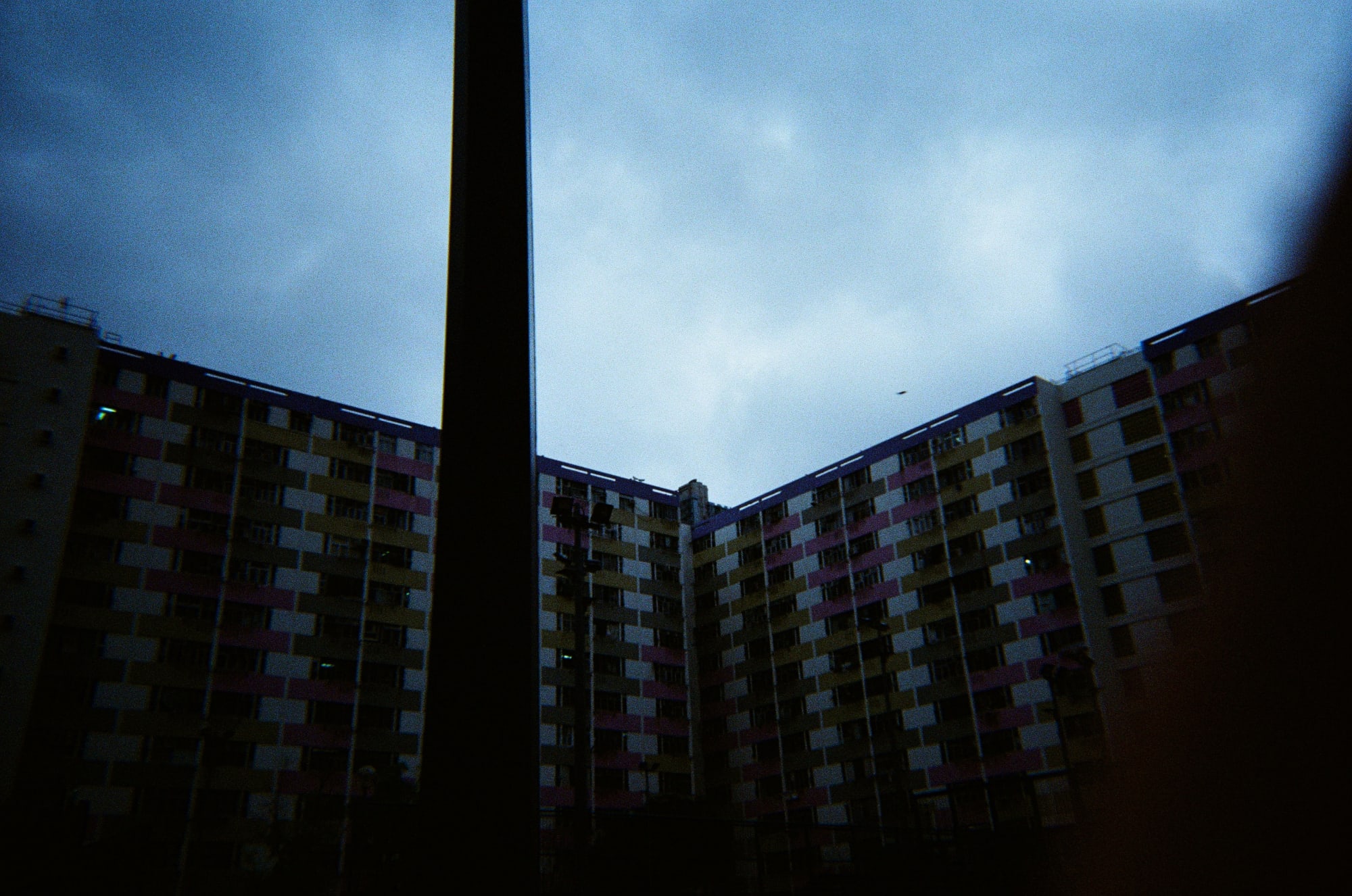 Photo by Siyi Zhang