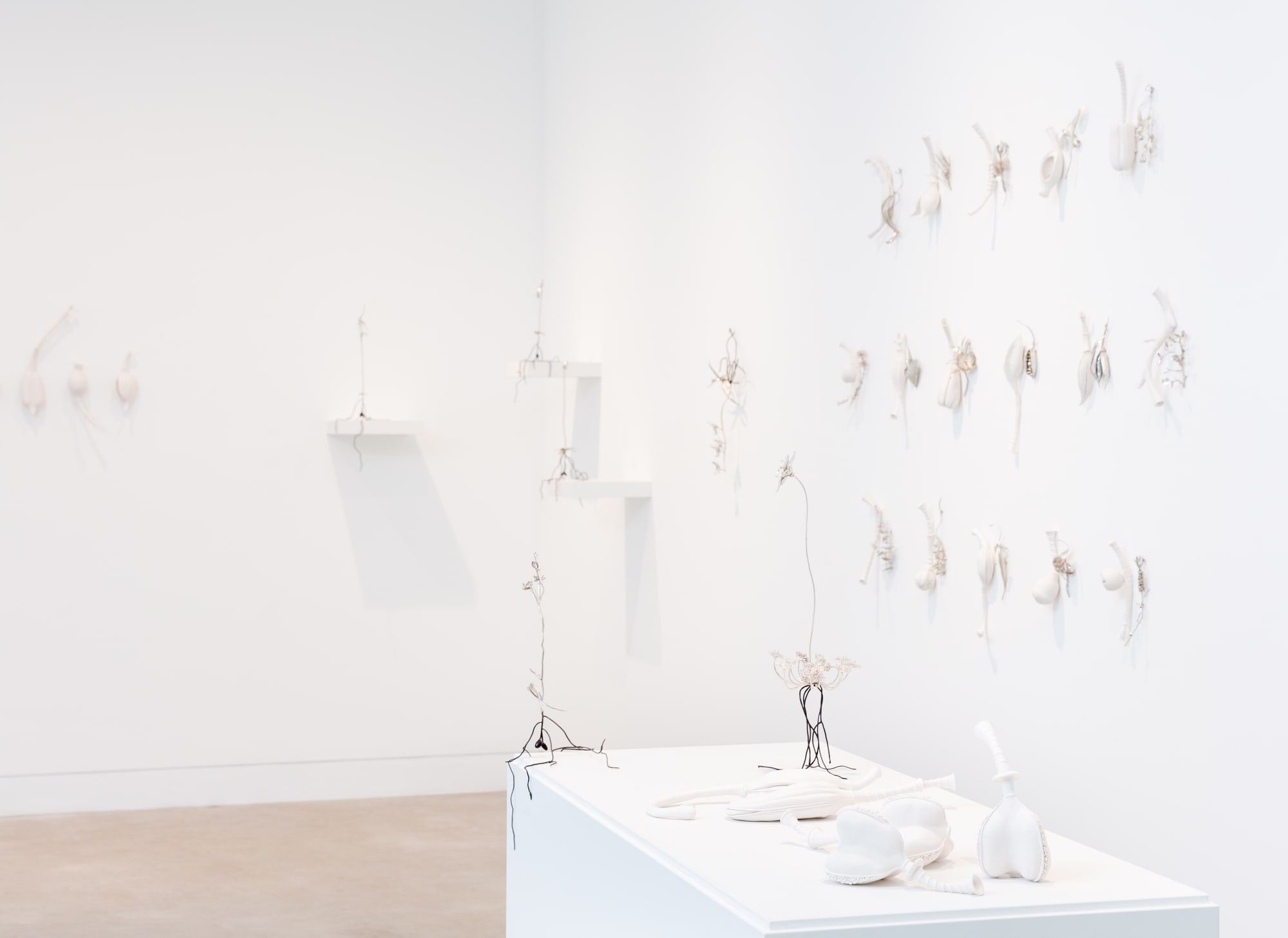 Sarah Rayner & Sophie Carnell