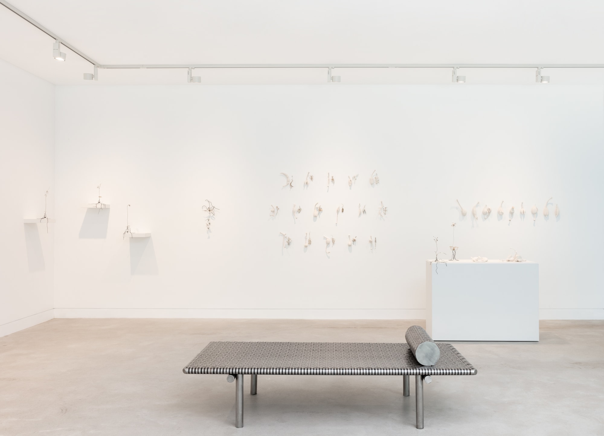 Sarah Rayner & Sophie Carnell