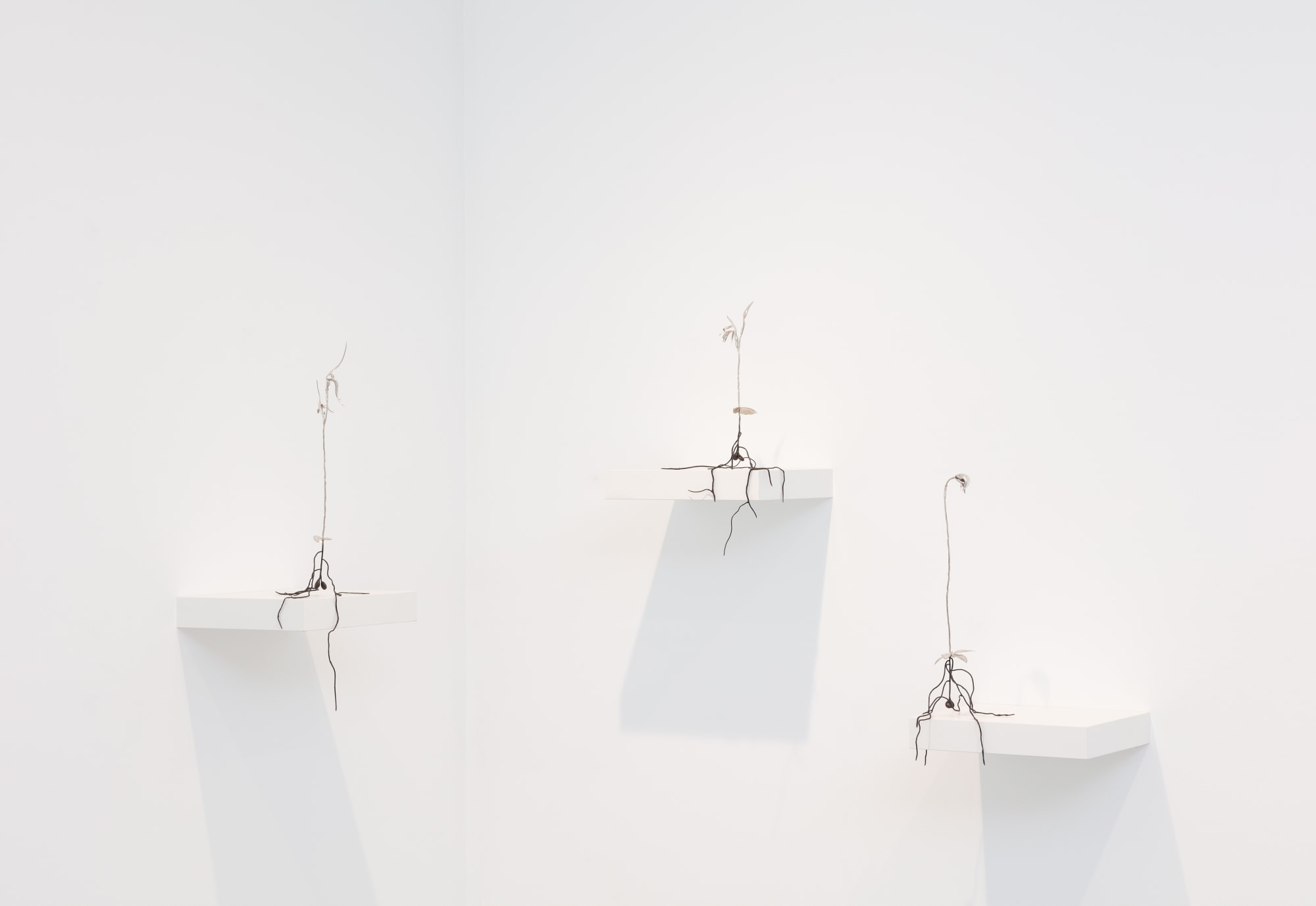 Sarah Rayner & Sophie Carnell